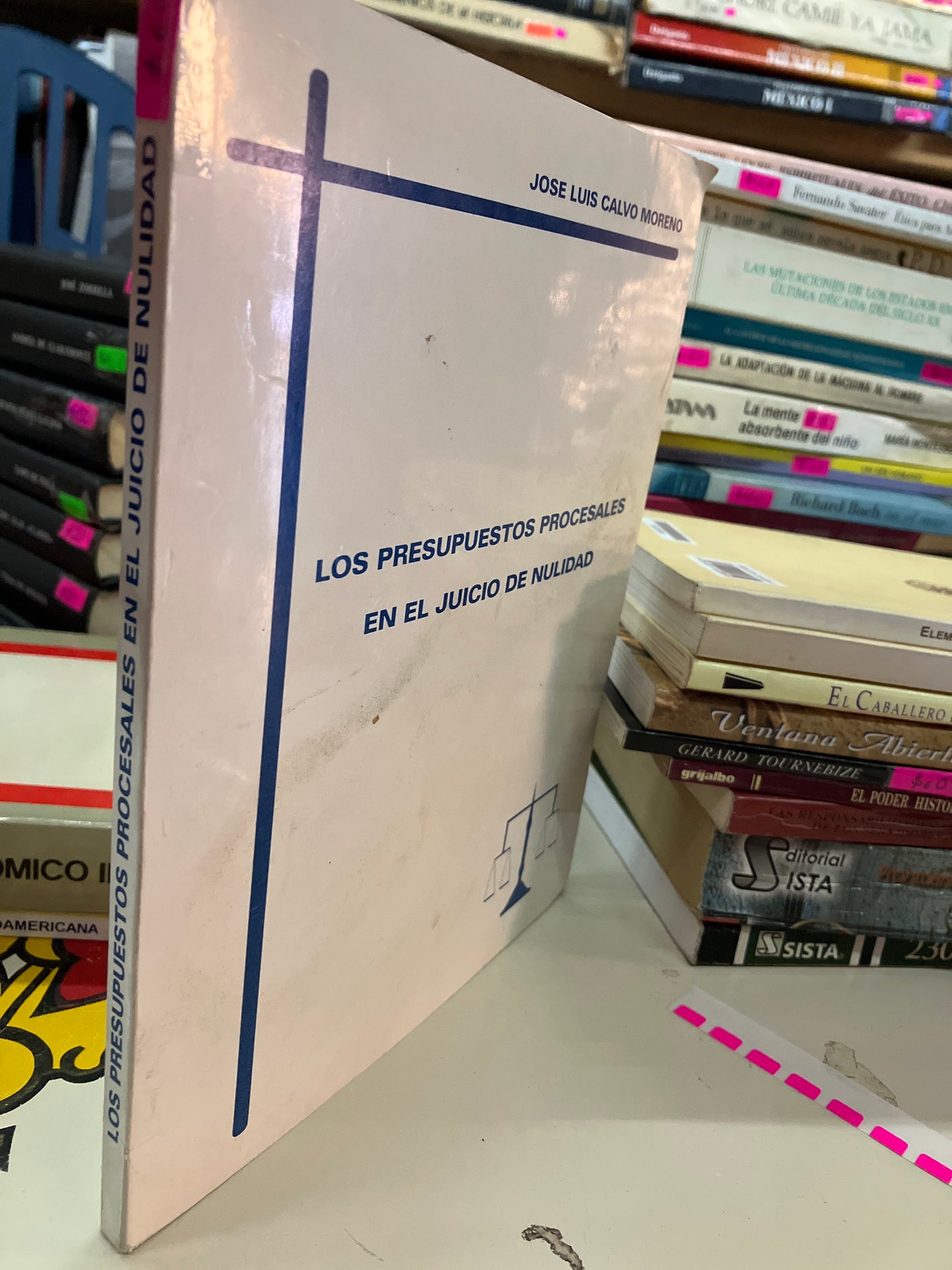 LOS PRESUPUESTOS PROCESALES EN EL JUICIO DE NULIDAD POR JOSE LUIS CALVO MORENO USADO DERECHO LITERARIO 207