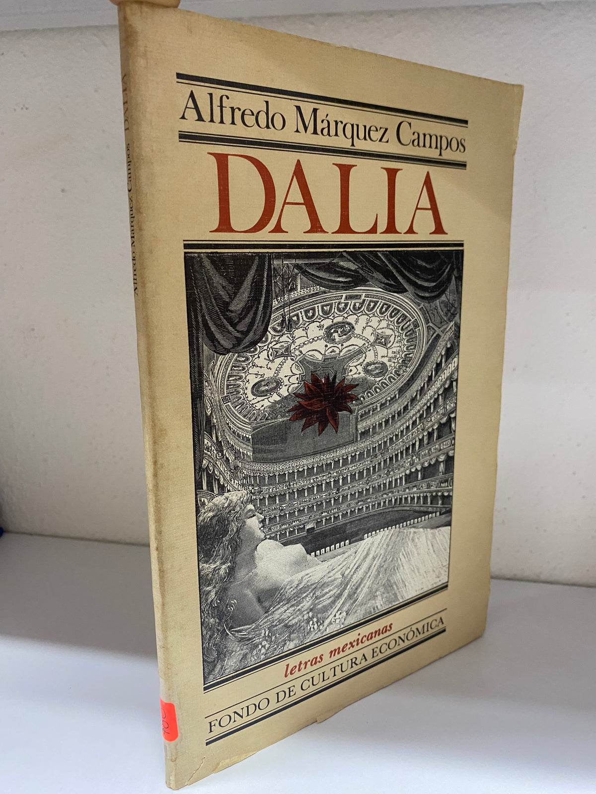 DALIA ALFREDO MARQUEZ CAMPOS USADO NOVELA JUAREZ 515