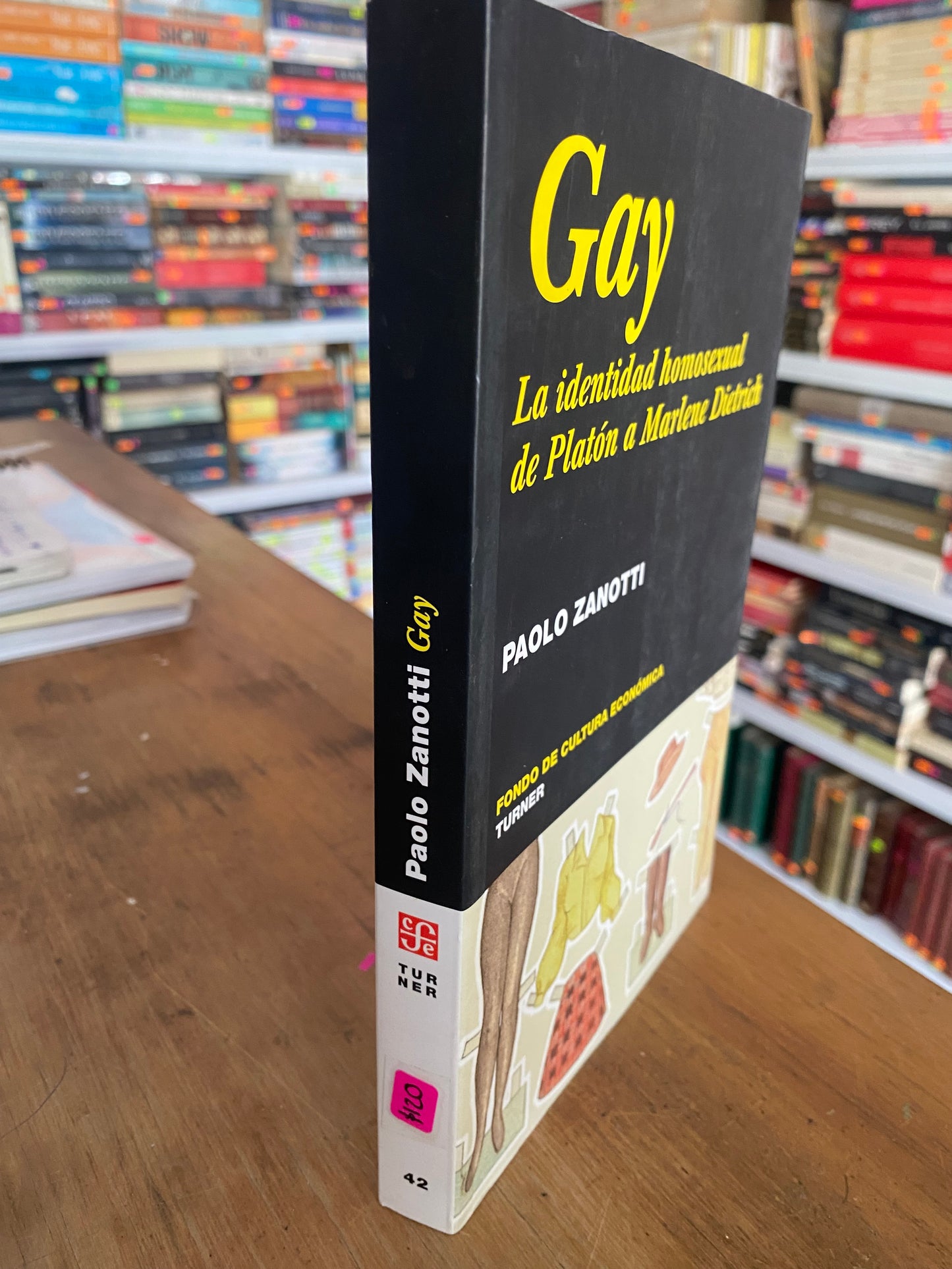 GAY LA IDENTIDAD HOMOSEXUAL DE PLATON A MARLENE DIENTRICH POR PAOLO ZANOTTI USADO PSICOLOGIA JUAREZ 515