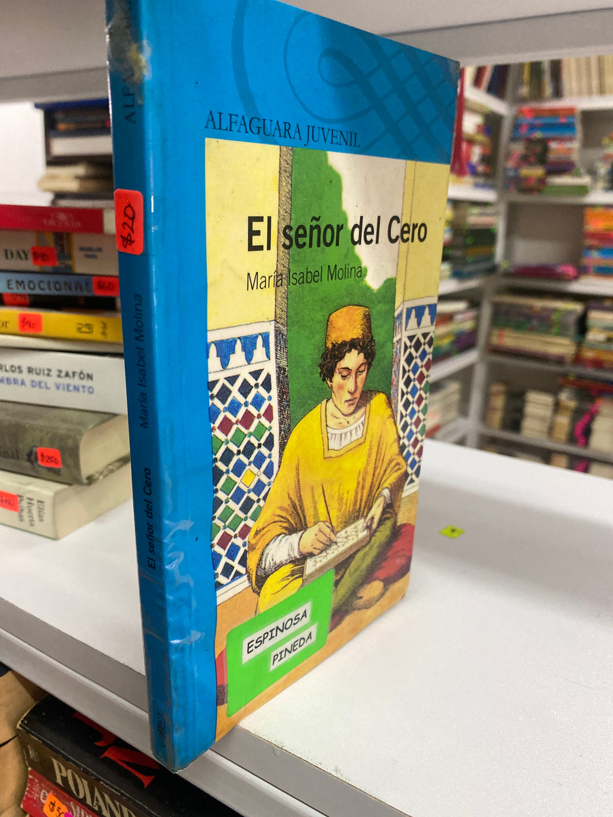 EL SEÑOR DEL CERO MARIA ISABELL MOLINA USADO INFANTIL JUAREZ 515