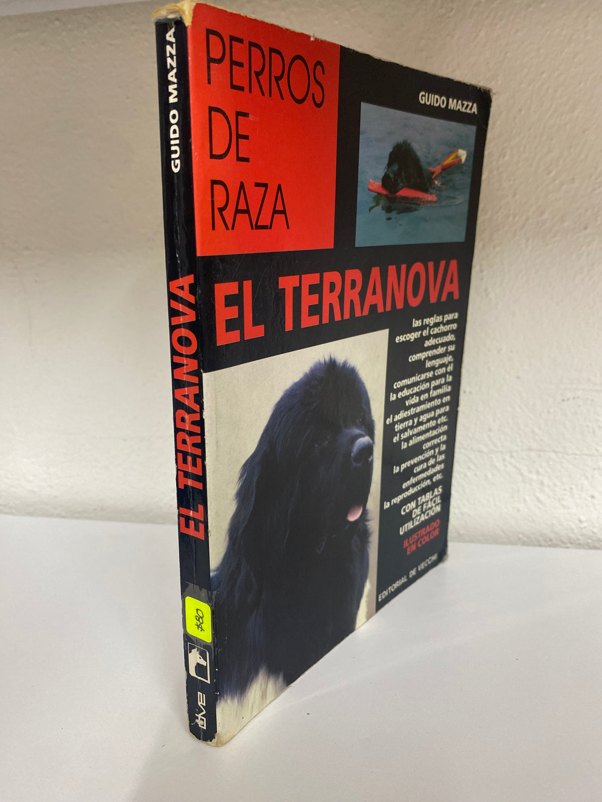 EL TERRANOVA PERROS DE RAZA USADO BIOLOGIA JUAREZ 515