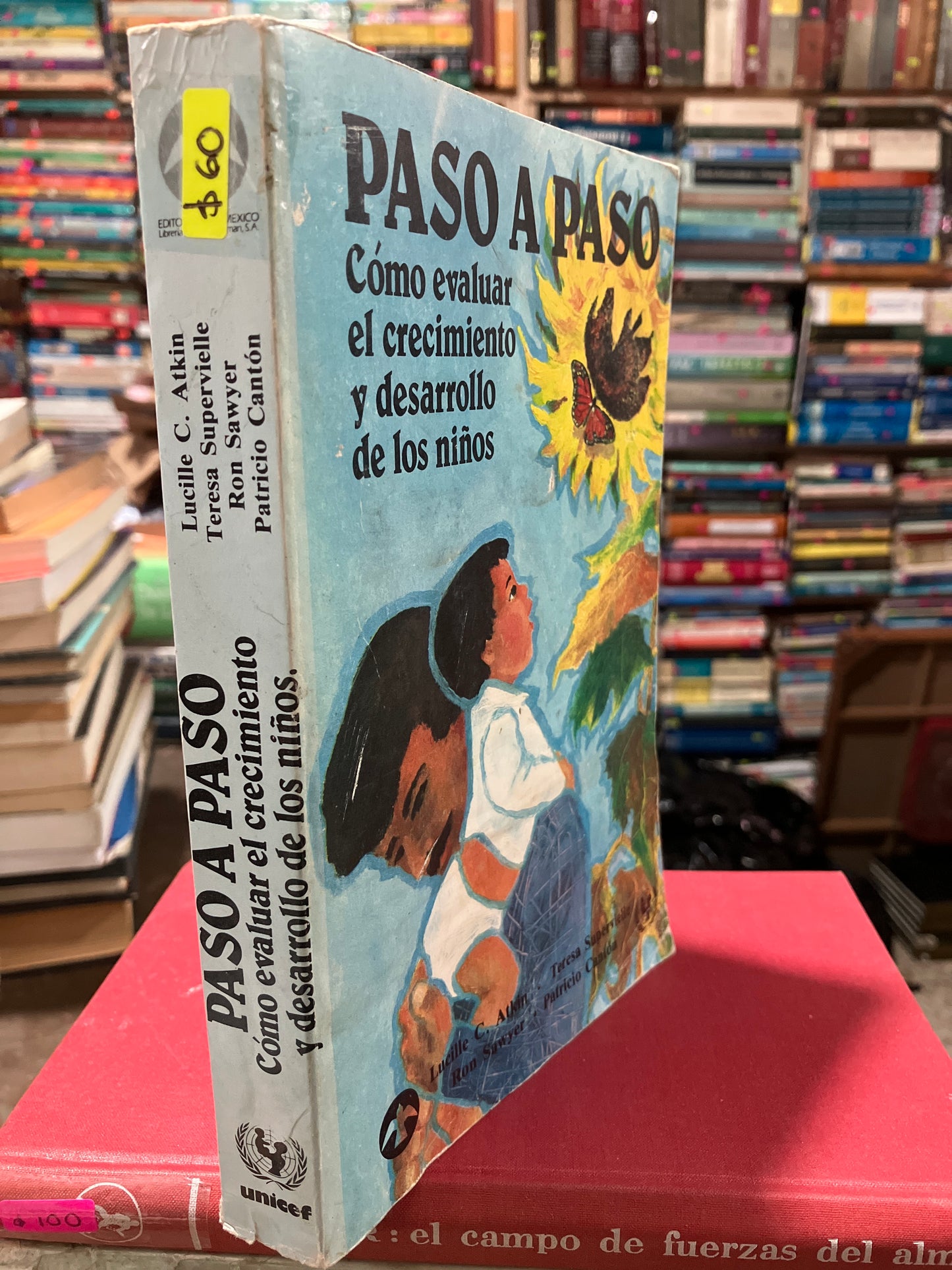 PASO A PASO POR TERESA SUPERVIELLE USADO PSICOLOGÍA ALDAMA