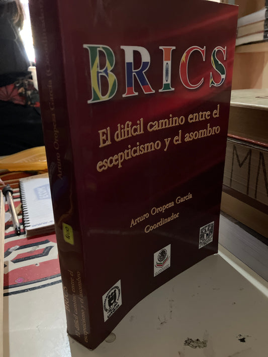 BRICS EL DIFÍCIL CAMINO ENTRE EL ESCEPTICISMO Y EL ASOMBRO POR ARTURO OROPEZA GARCÍA USADO ADMINISTRACIÓN LITERARIO 207