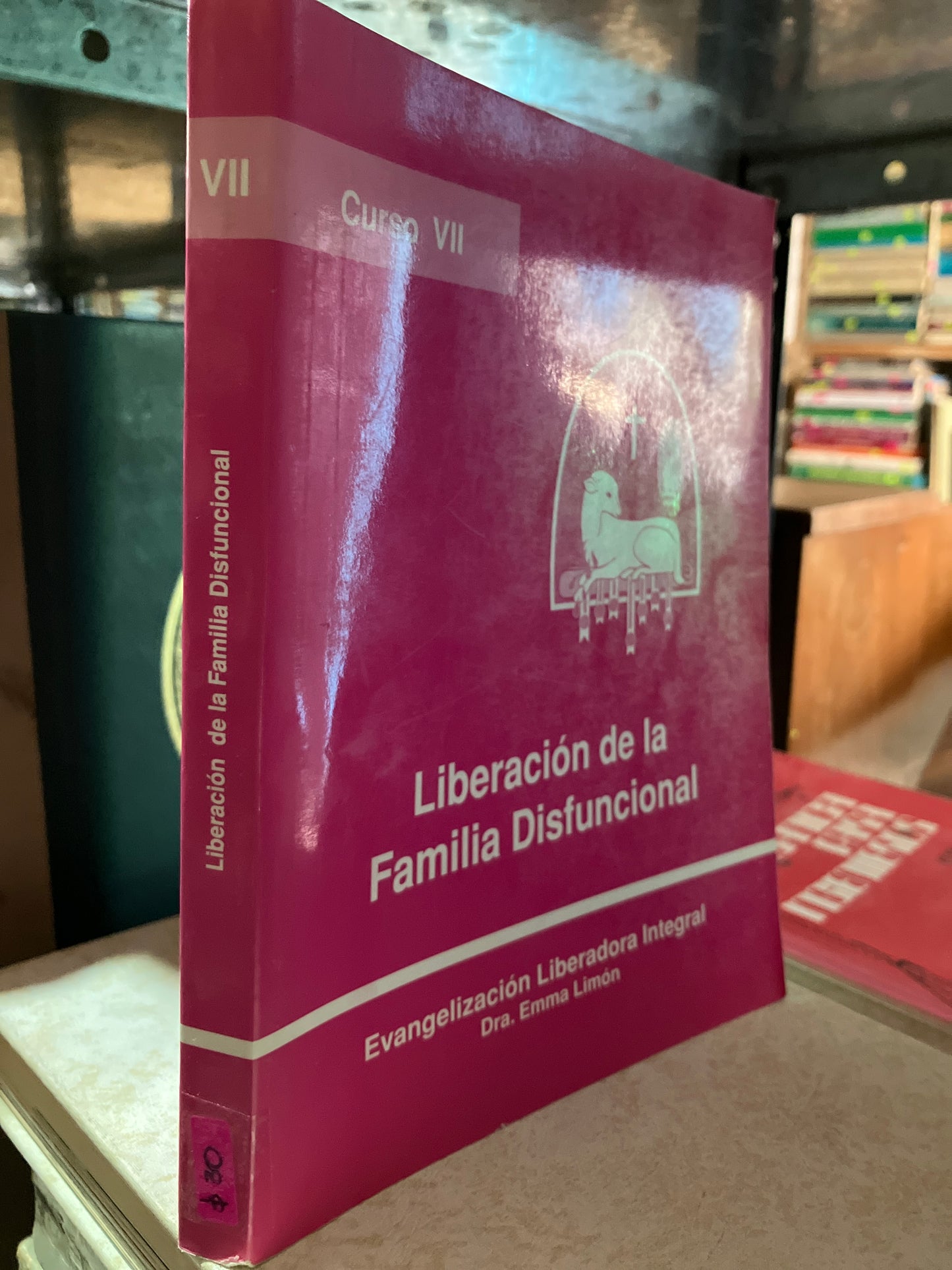 LIBERACION DE LA FAMILIA DISFUNCIONAL POR DR EMMA LIMÓN USADO RELIGIÓN ALDAMA