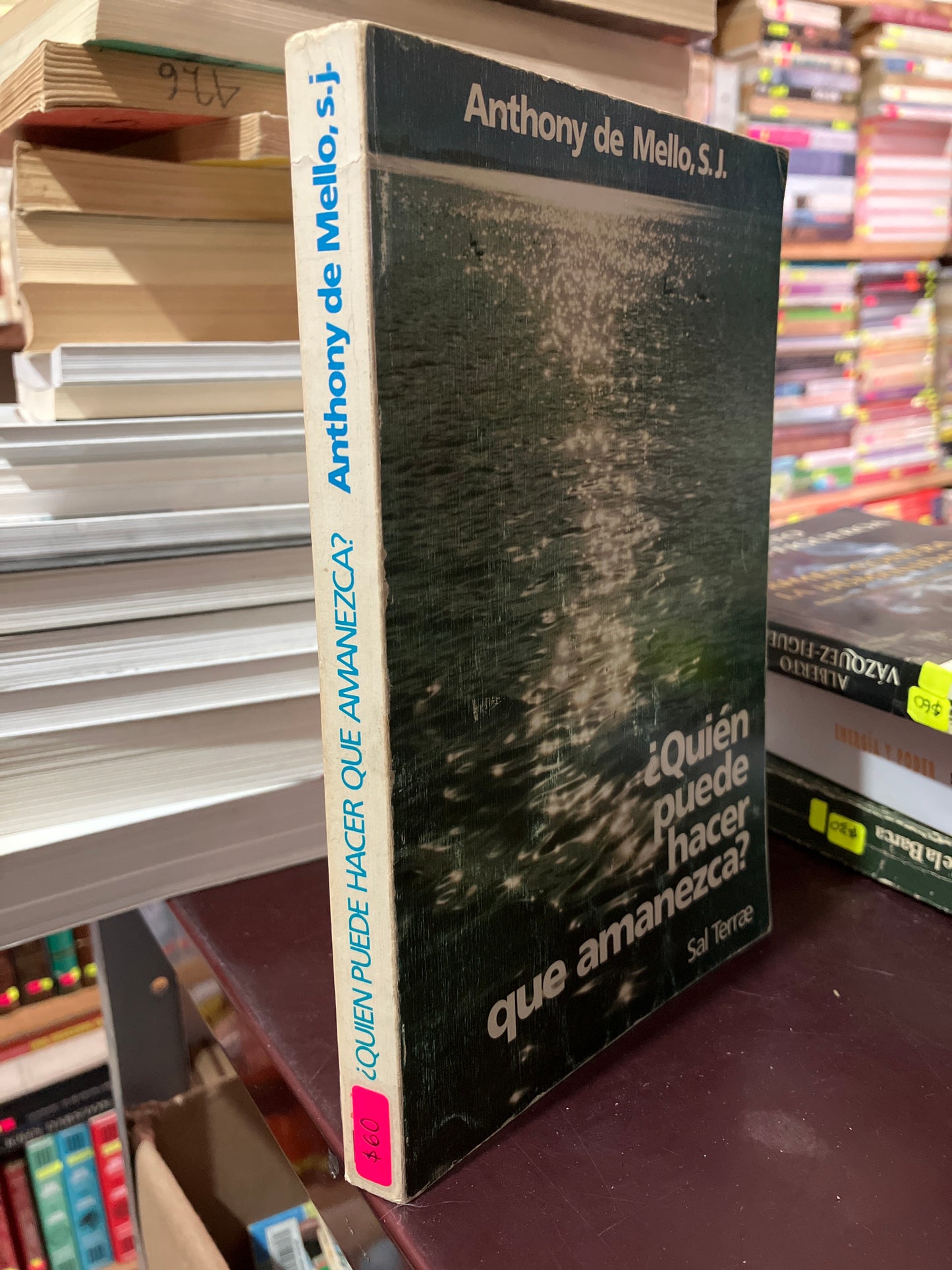 QUIEN PUEDE HACER QUE AMANEZCA POR SAL TERRAE USADO NOVELA LITERARIO 305