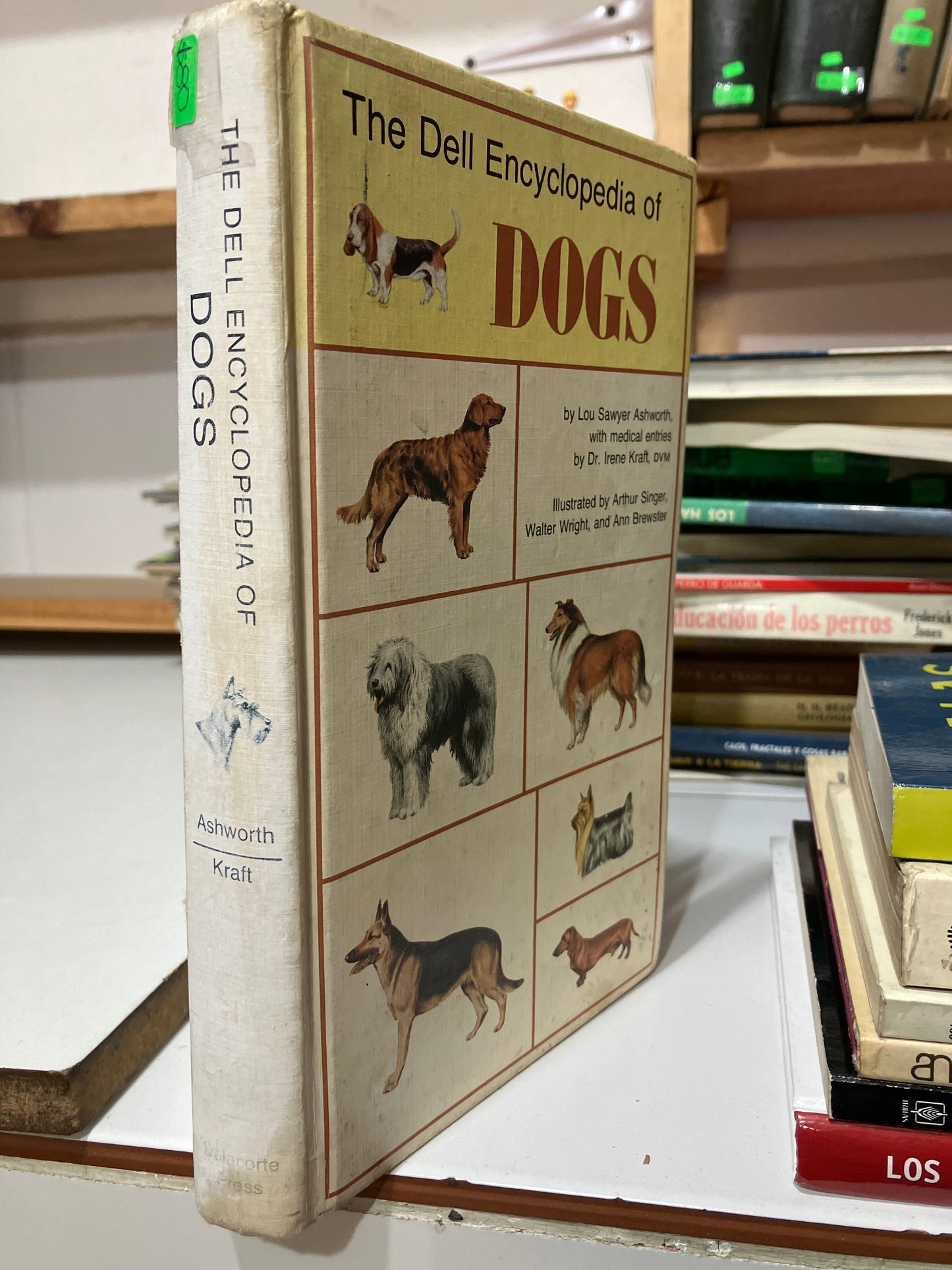 THE DELL ENCYCLOPEDIA OF DOGS BY ASHWORTH AND KRAFT USADO CIENCIA JUAREZ
