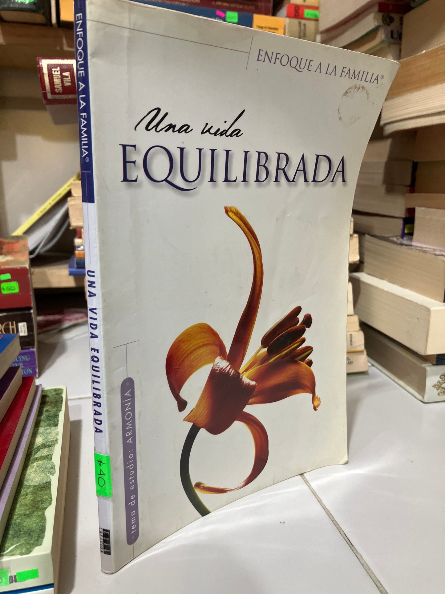UNA VIDA EQUILIBRADA USADO SUPERACIÓN PERSONAL JUAREZ