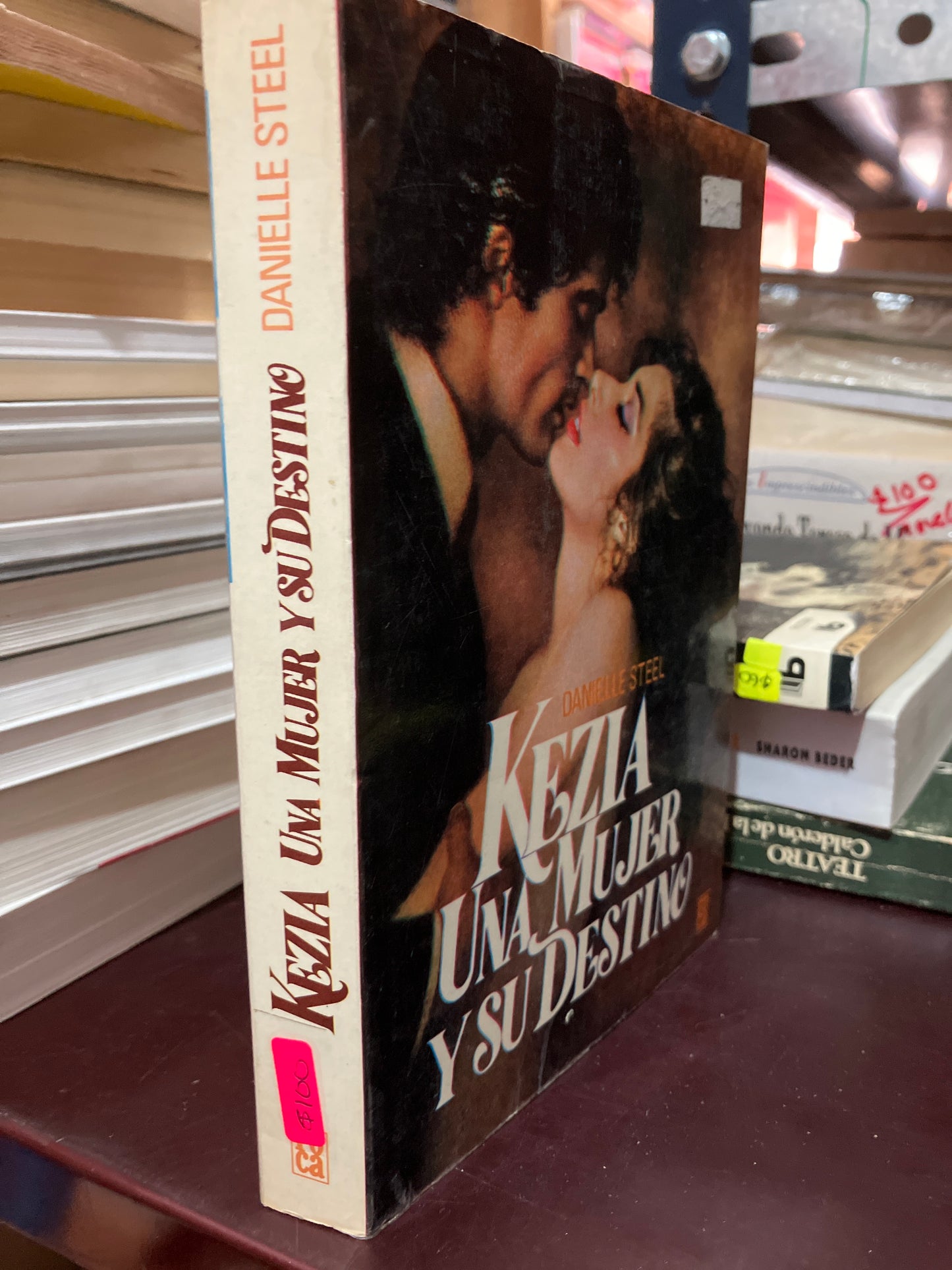 KEZIA UNA MUJER Y SU DESTINO POR DANIELLE STEEL USADO NOVELA LITERARIO 305