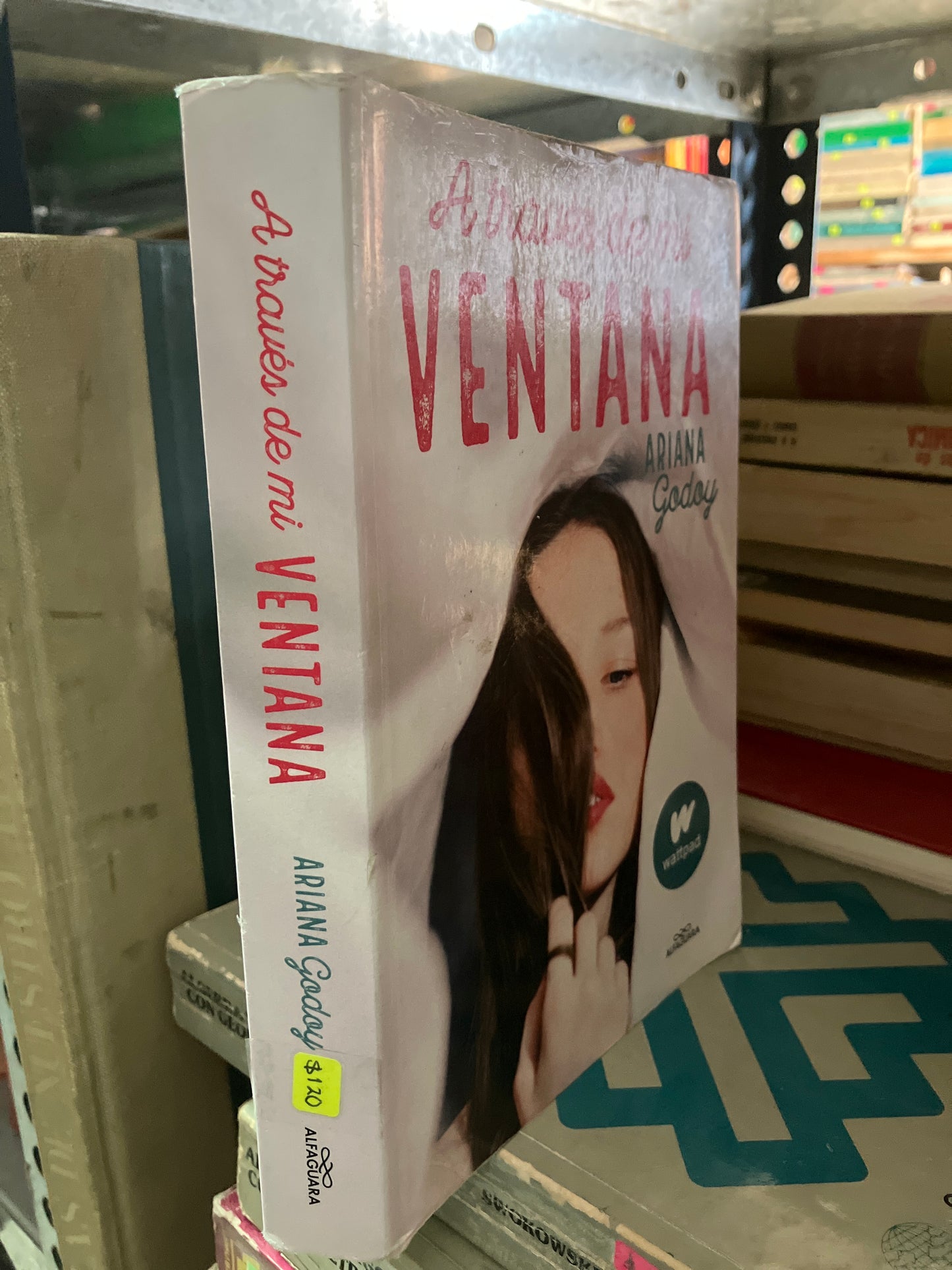 A TRAVÉS DE MI VENTANA POR ARIANA GODOY USADO NOVELA ALDAMA