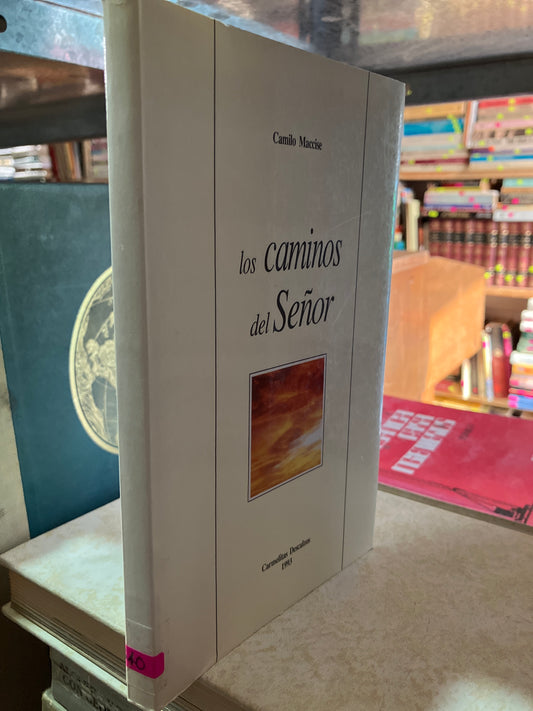 LOS CAMINOS DEL SEÑOR POR CAMILO MACCISE USADO RELIGIÓN ALDAMA