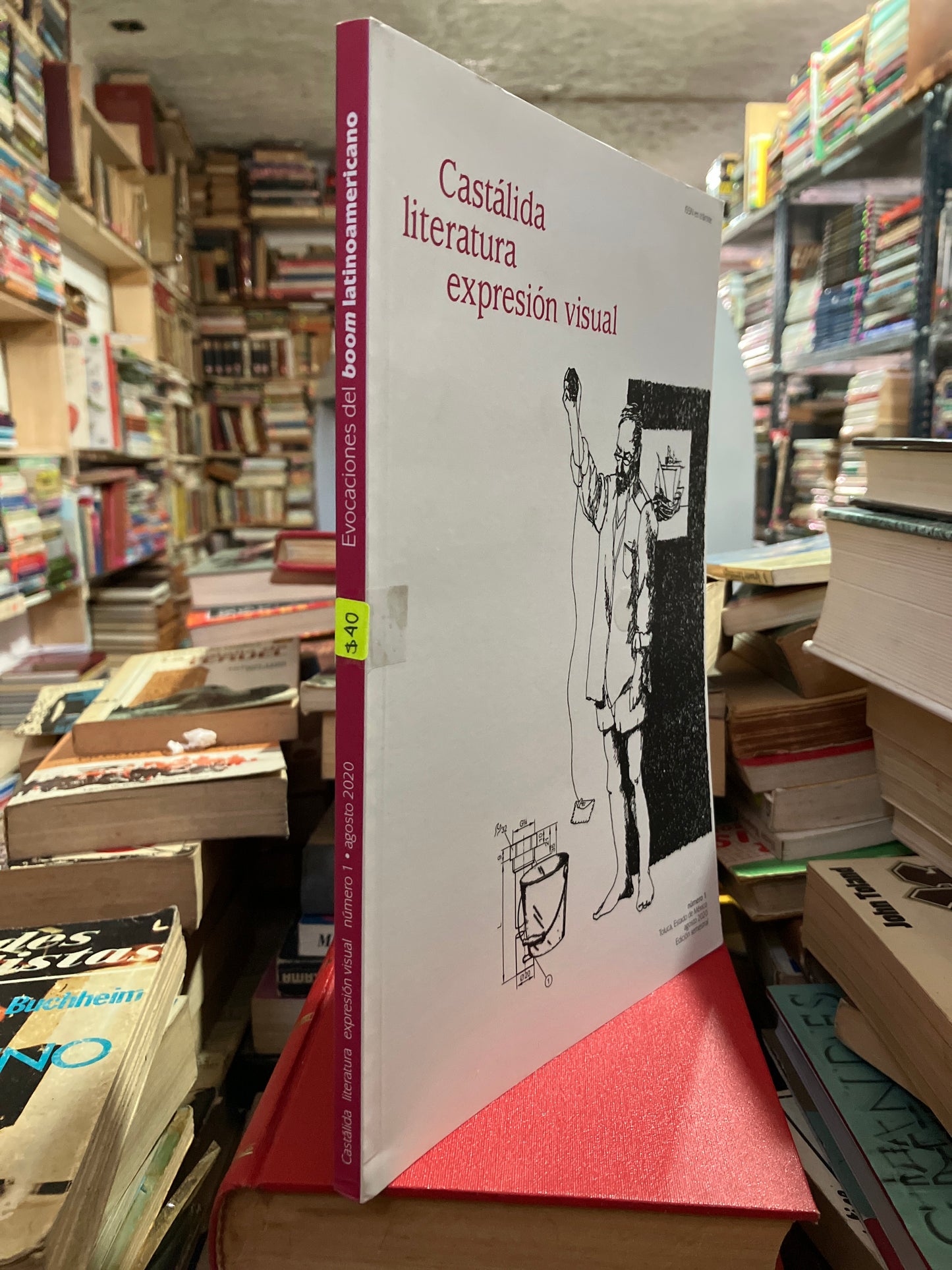 LITERATURA EXPRESIÓN VISUAL POR AUTORES VARIOS USADO NOVELA ALDAMA