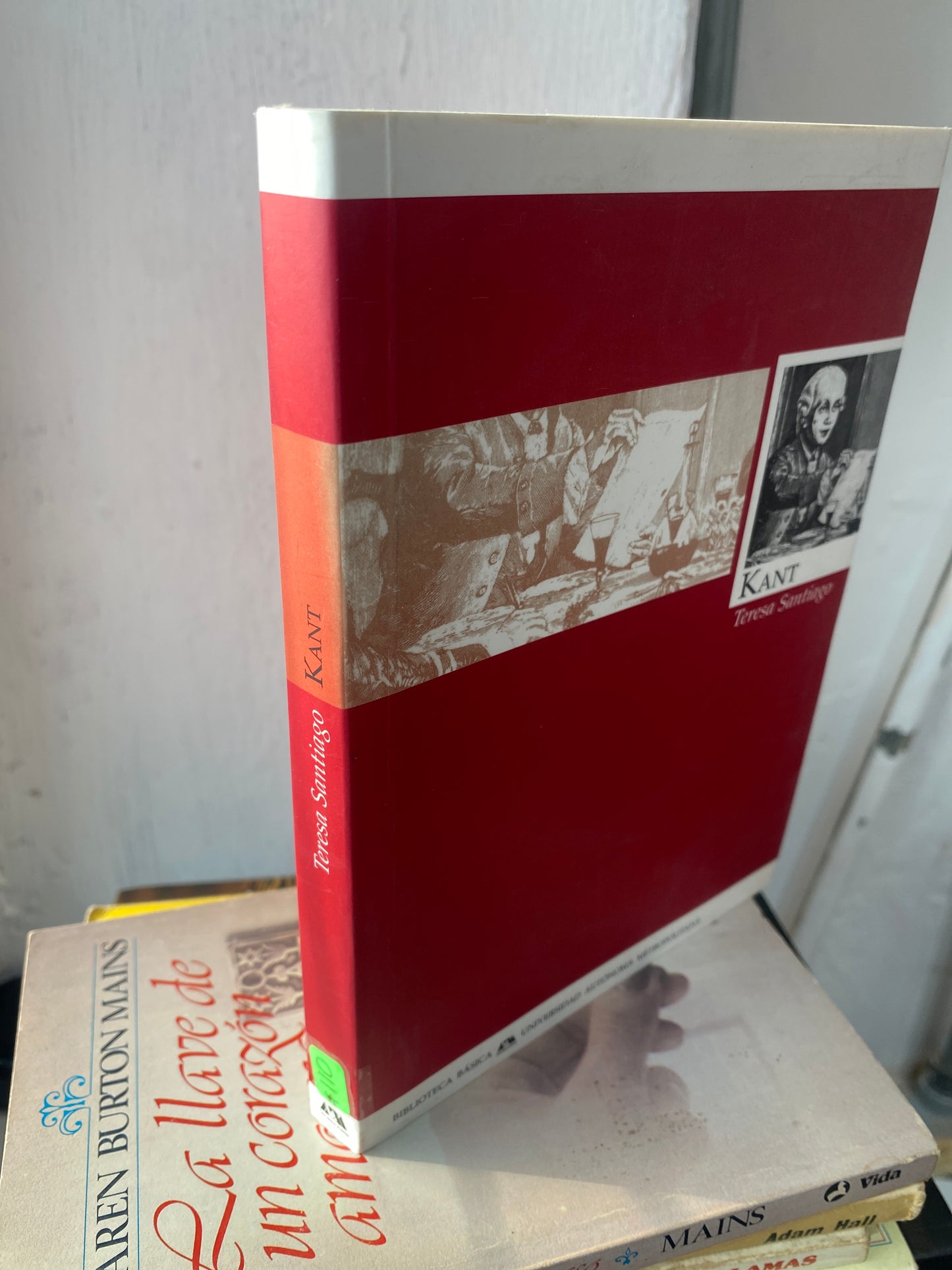 TERESA SANTIAGO KANT USADO NOVELAS JUAREZ 515