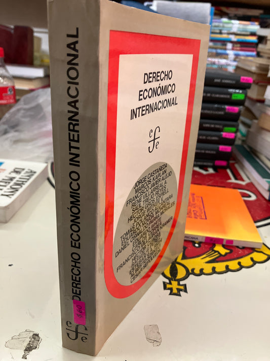 DERECHO ECONÓMICO INTERNACIONAL POR AUTORES VARIOS USADO DERECHO LITERARIO 207