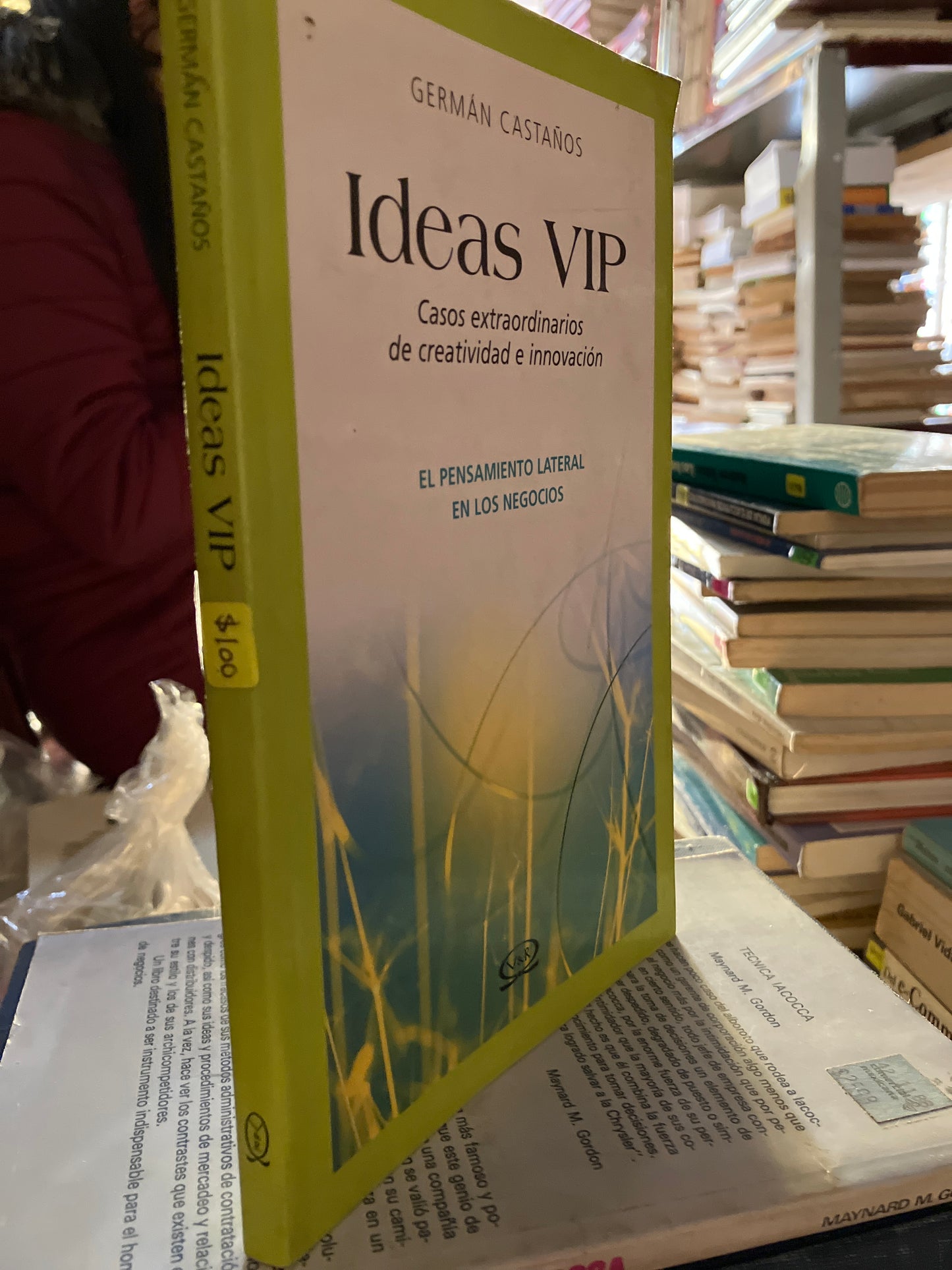 IDEAS VIP POR GERMAN CASTAÑOS USADO ADMINISTRACIÓN LITERARIO 207