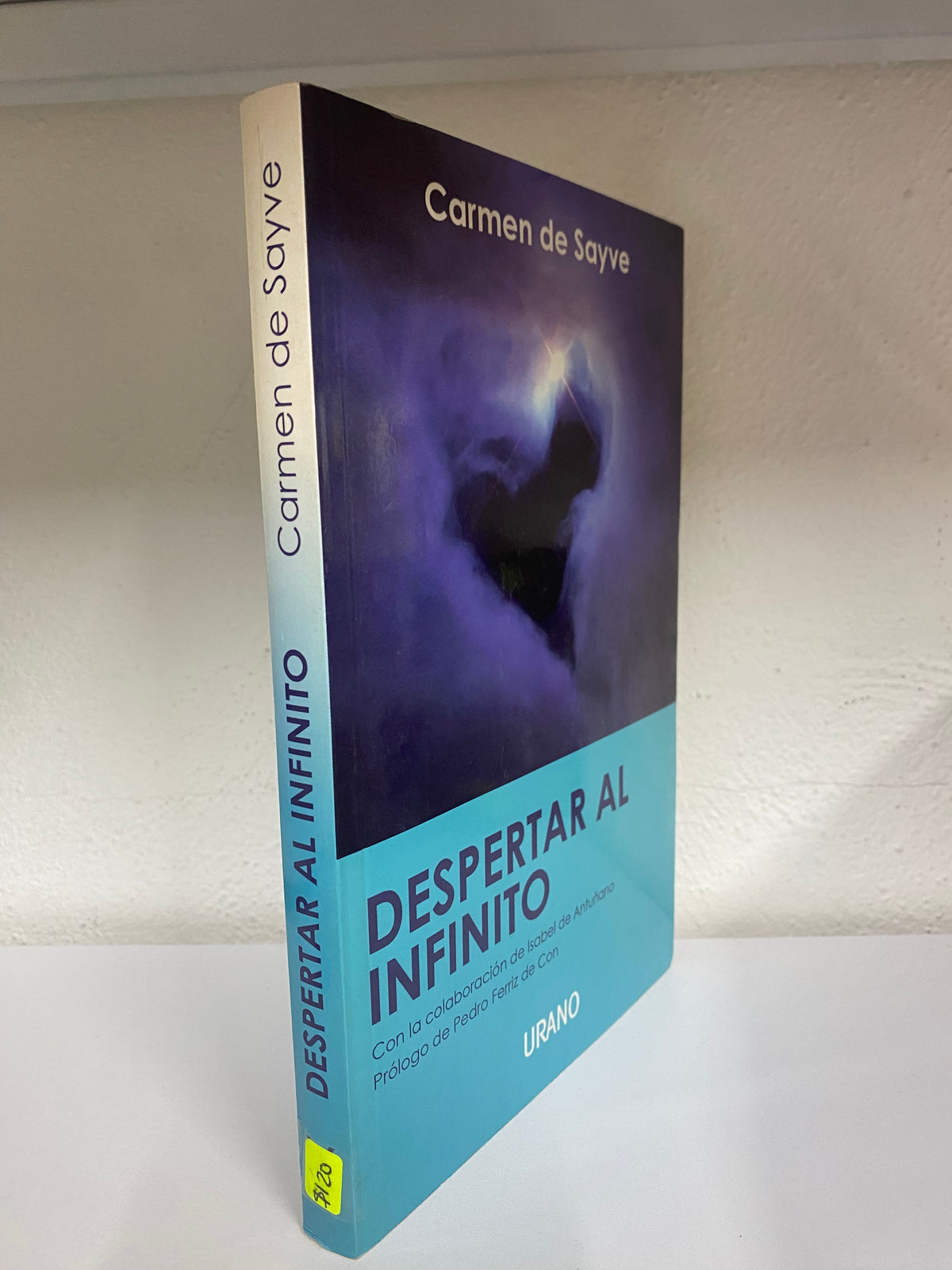 DESPERTAR AL INFINITO CARMEN DE SAYVE USADO PSICOLOGIA JUAREZ 515