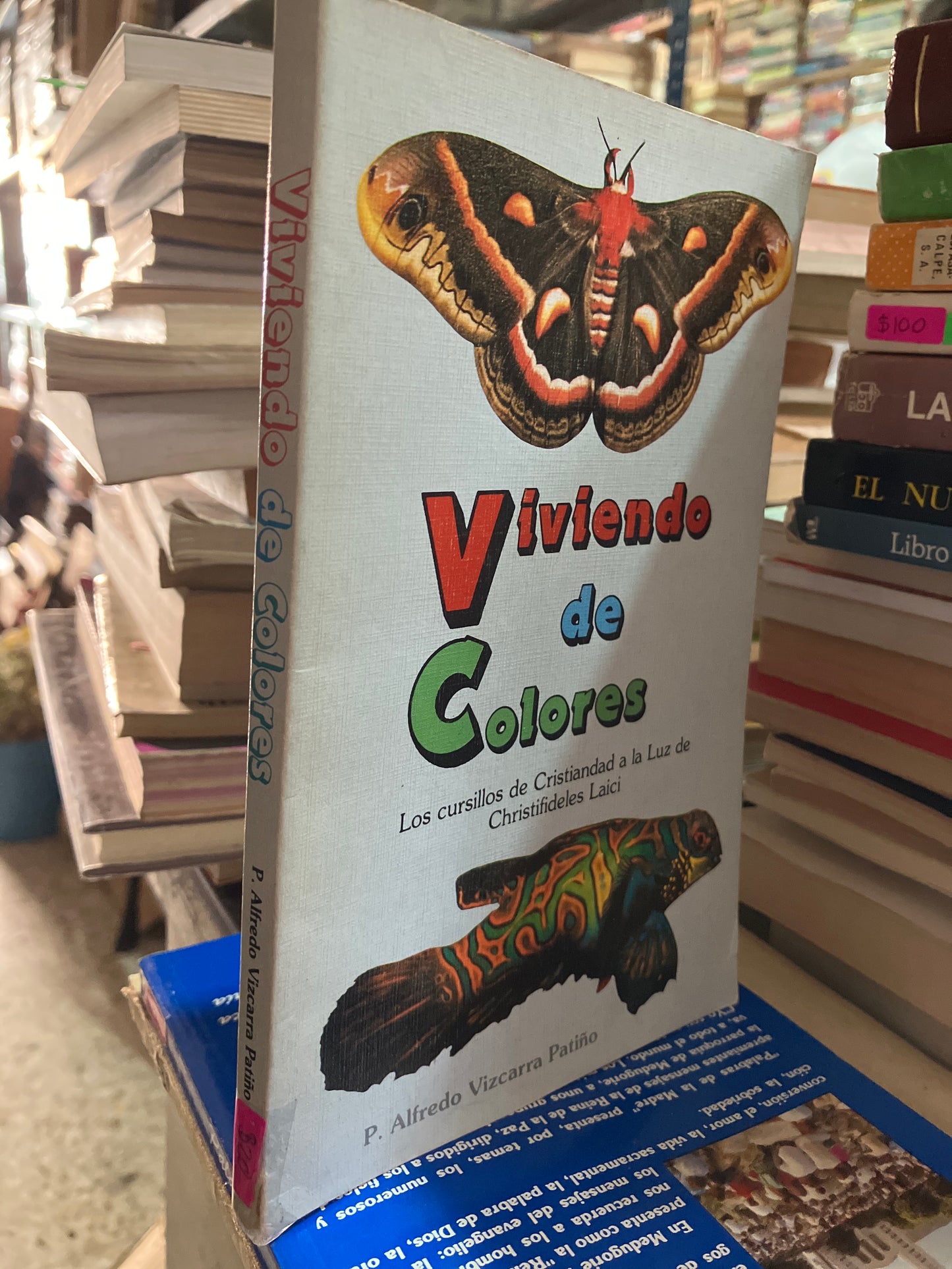 VIVIENDO DE COLORES POR P ALFREDO VIZCARRA PATIÑO USADO RELIGIÓN ALDAMA