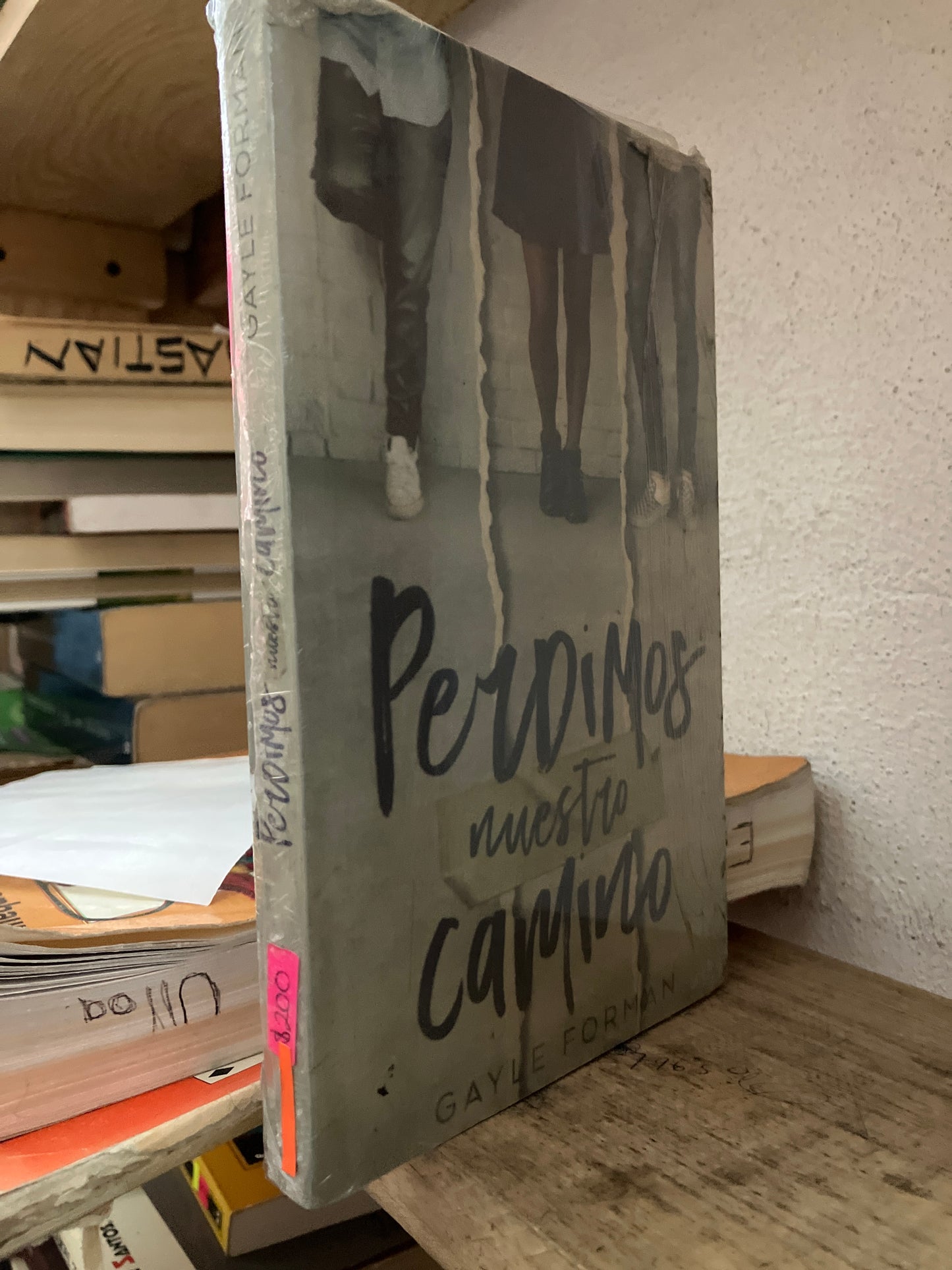 PERDIMOS NUESTRO CAMINO POR GAYLE FORMAN USADO LITERARIO 305