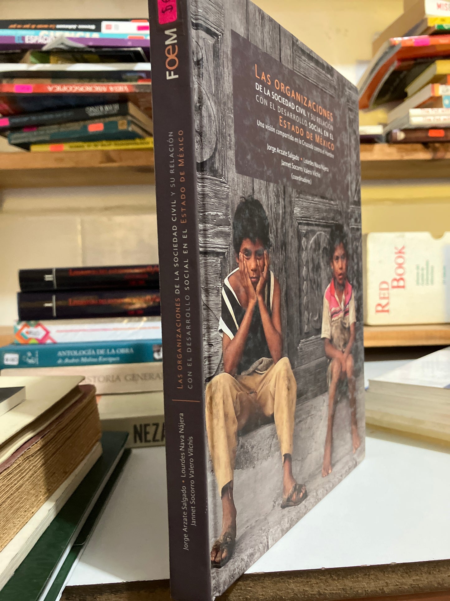 LAS ORGANIZACIONES DE LA SOCIEDAD CIVIL Y AU RELACIÓN CON EL DESARROLLO SOCIAL EN EL ESTADO DE MÉXICO POR AUTORES VARIOS USADO HISTORIA JUAREZ