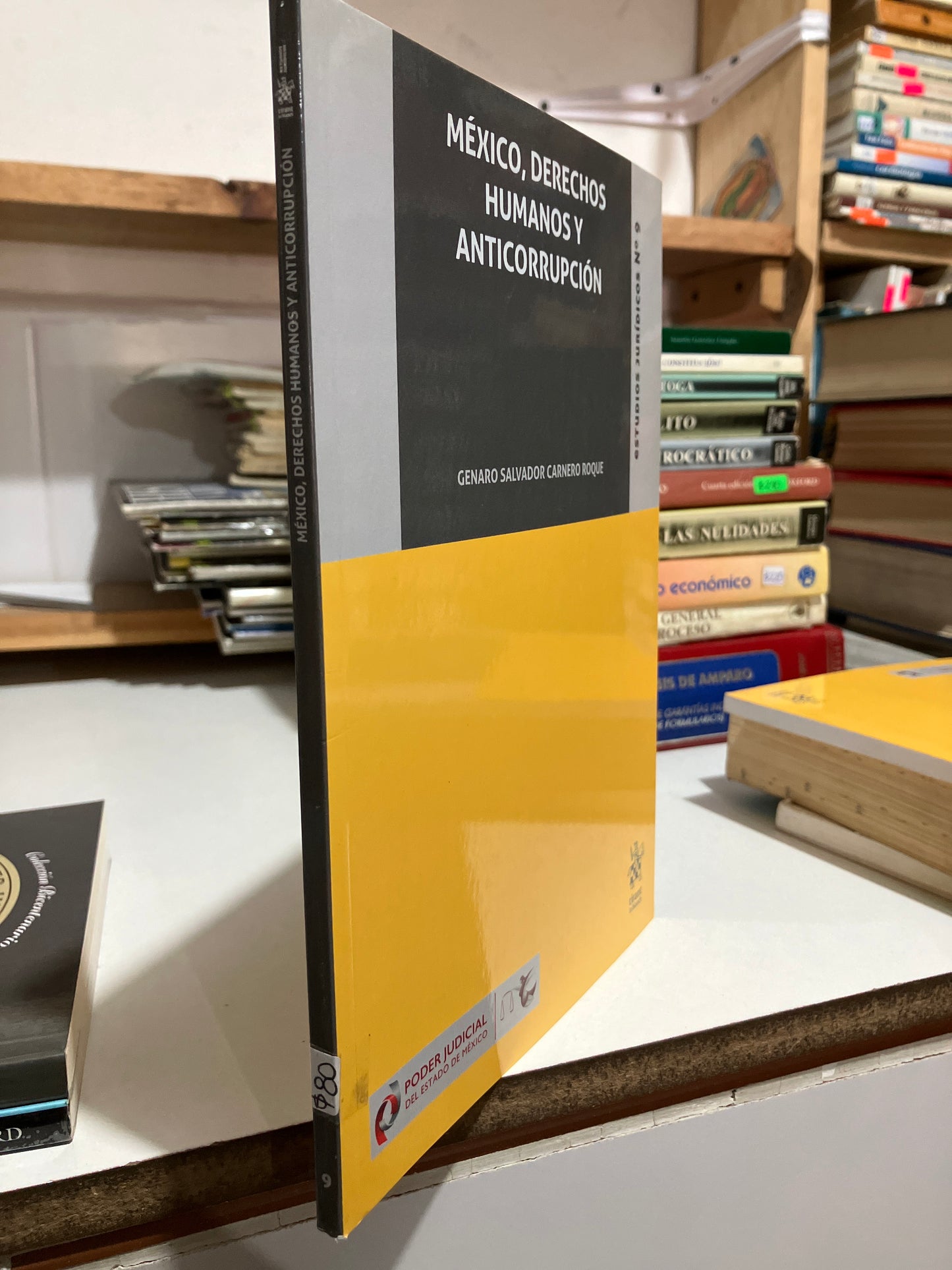 MÉXICO DERECHOS HUMANOS Y ANTICORRUPCIÓN POR GENARO SALVADOR CARNERO USADO DERECHO JUAREZ