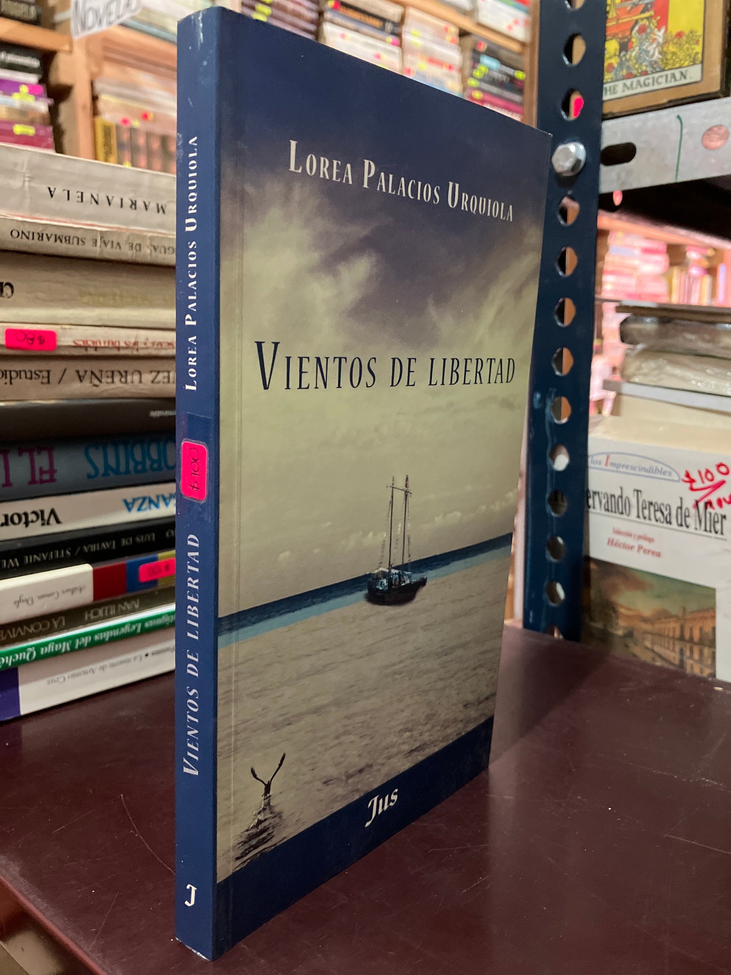 VIENTOS DE LIBERTAD POR LOREA PALACIOS USADO NOVELAS LITERARIO 305