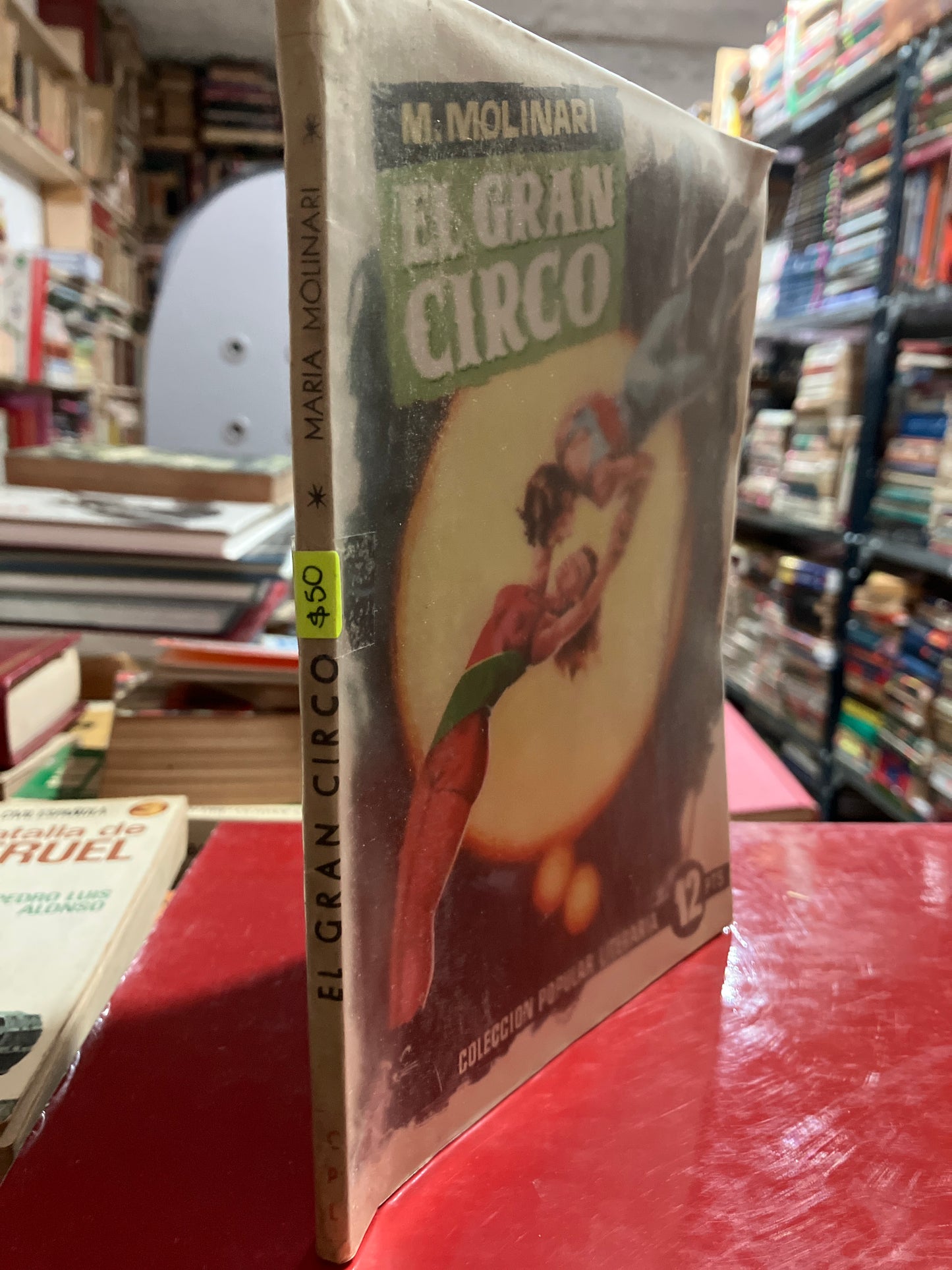 EL GRAN CIRCO POR M MOLINARI USADO NOVELA ALDAMA