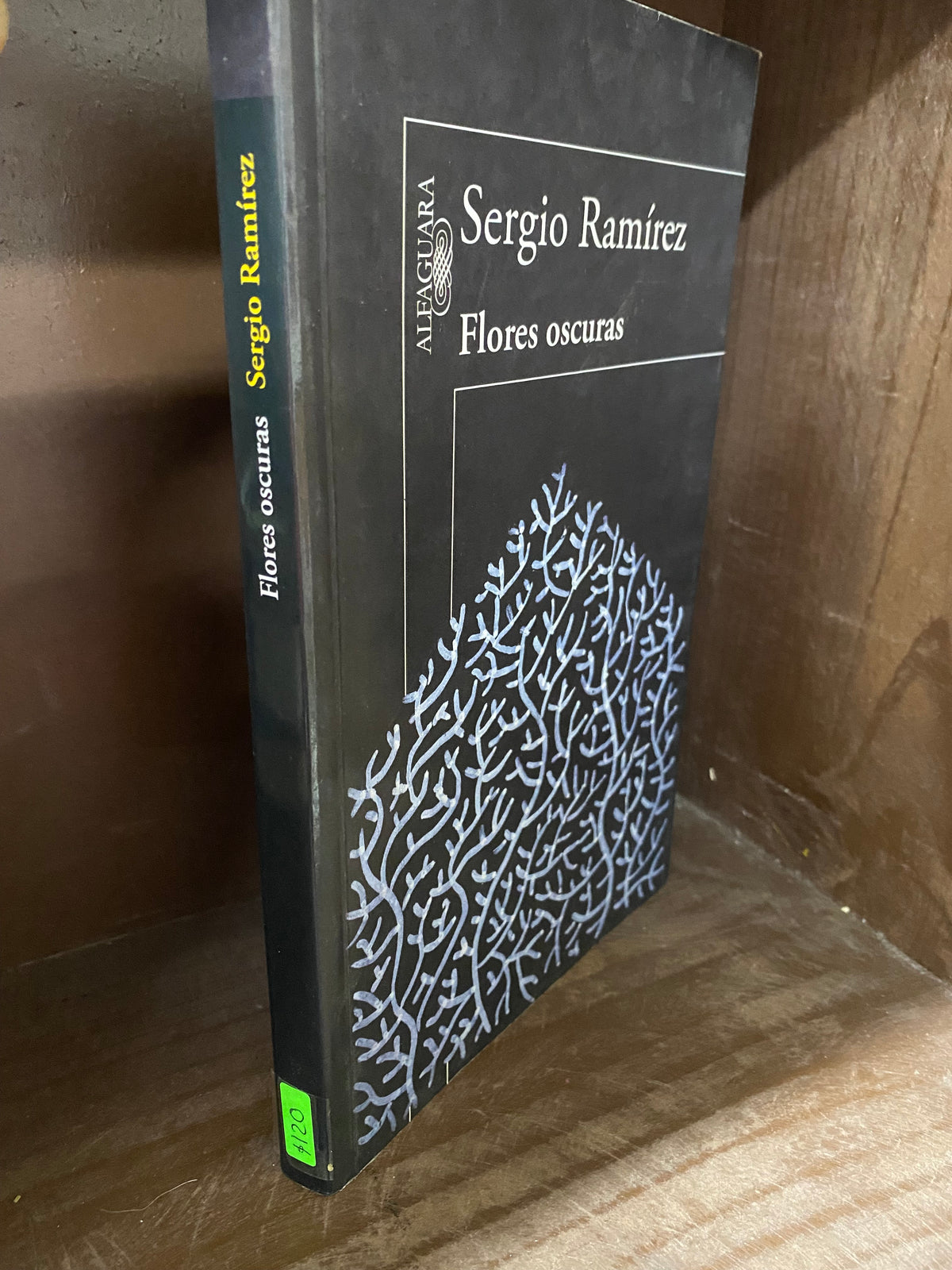 SERGIO RAMIREZ FLORES OSCURAS USADO NOVELA JUAREZ 515