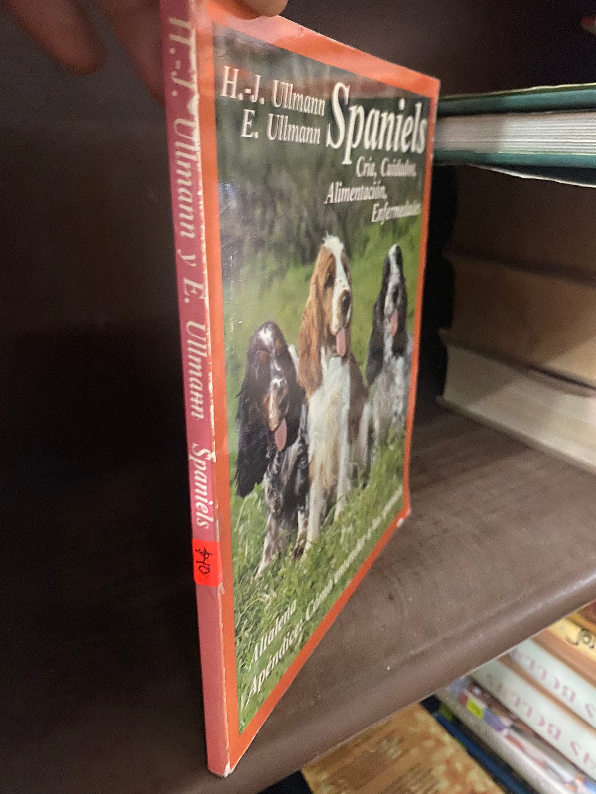 H J ULLMANN E ULLMANN SPANIELS CRIA CUIDADOS ALIMENTACION ENFERMEDADES USADO BIOLOGIA JUAREZ 515