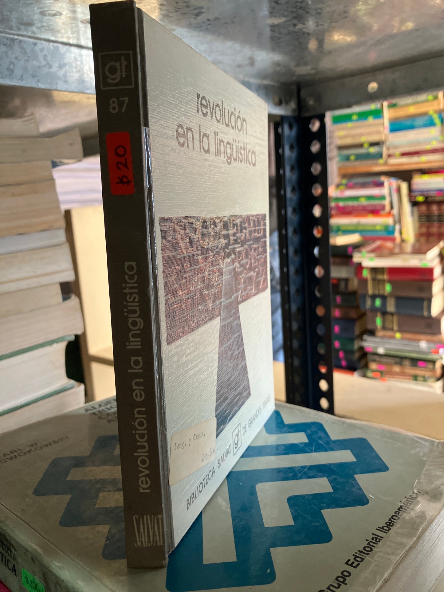 REVOLUCION EN LA LINGÜÍSTICA POR JOSE MANUEL BLECUA USADO EDUCACION ALDAMA