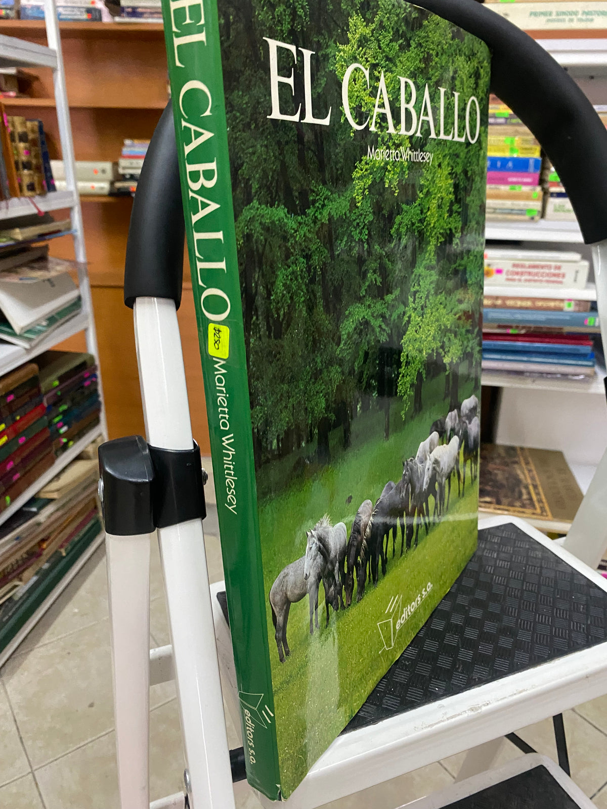 EL CABALLO MARIETTA WHITTSLESEY USADO BIOLOGIA JUAREZ 515
