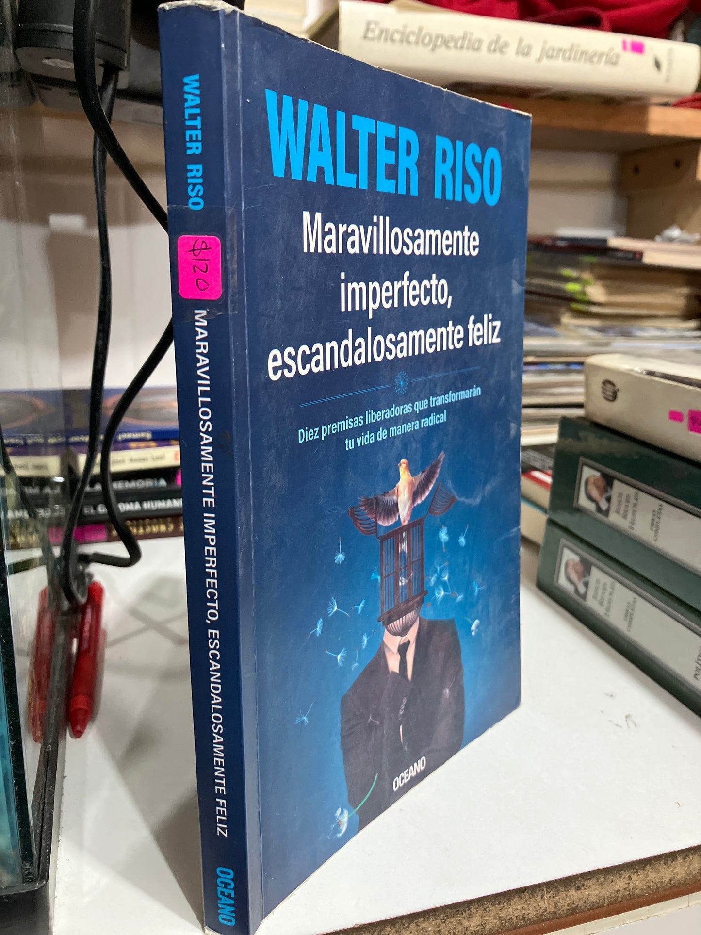 MARAVILLOSAMENTE IMPERFECTO ESCANDALOSAMENTE FELIZ POR WALTER RISO USADO SUPERACIÓN PERSONAL JUAREZ