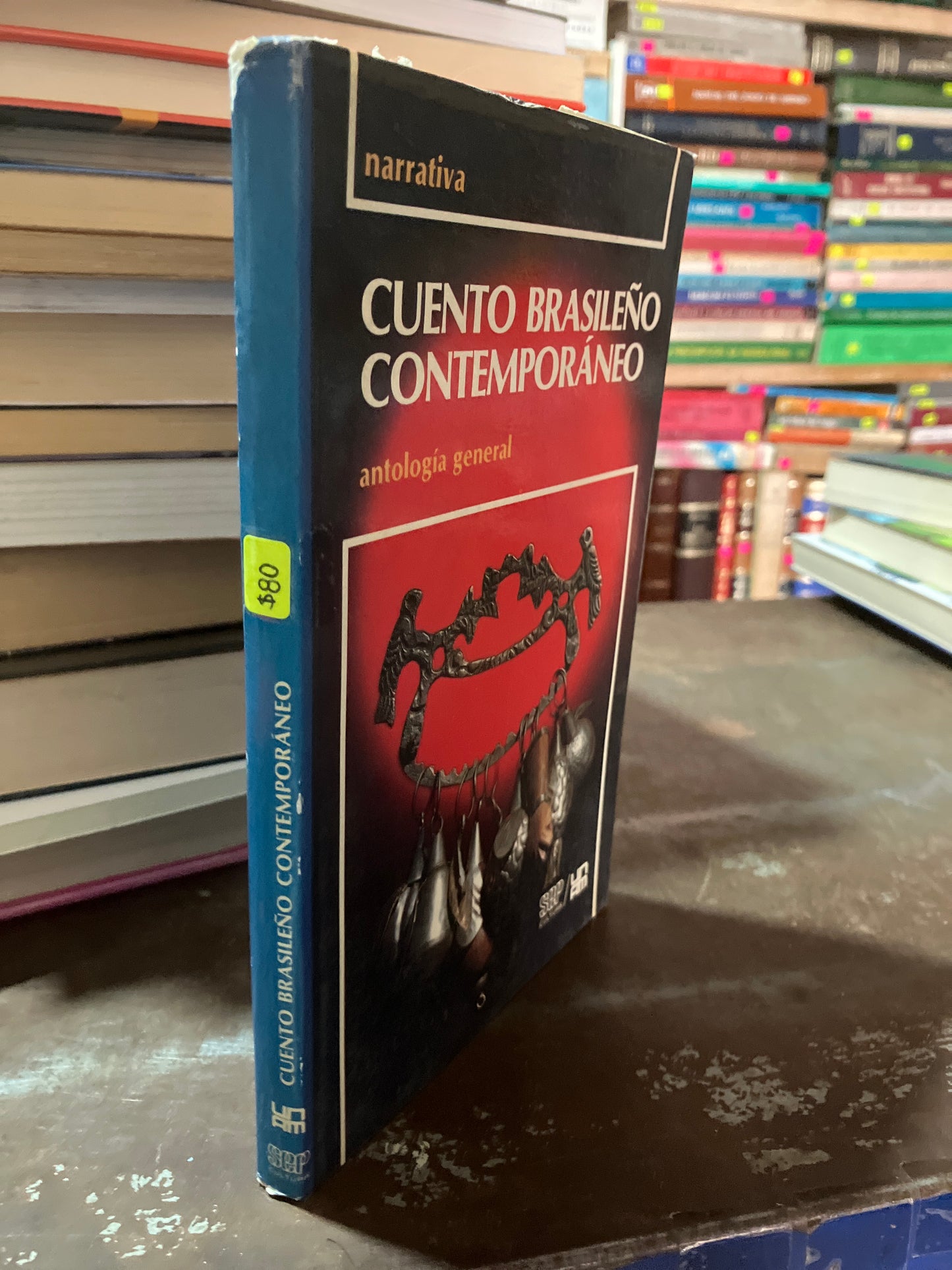 CUENTO BRASILEÑO CONTEMPORÁNEO USADO NOVELA ALDAMA