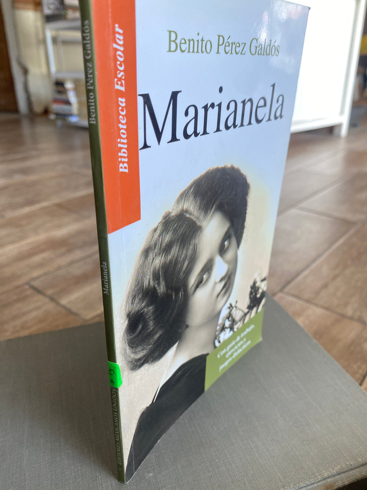 MARIANELA BENITO PEREZ GALDOS USADO NOVELAS JUAREZ 515