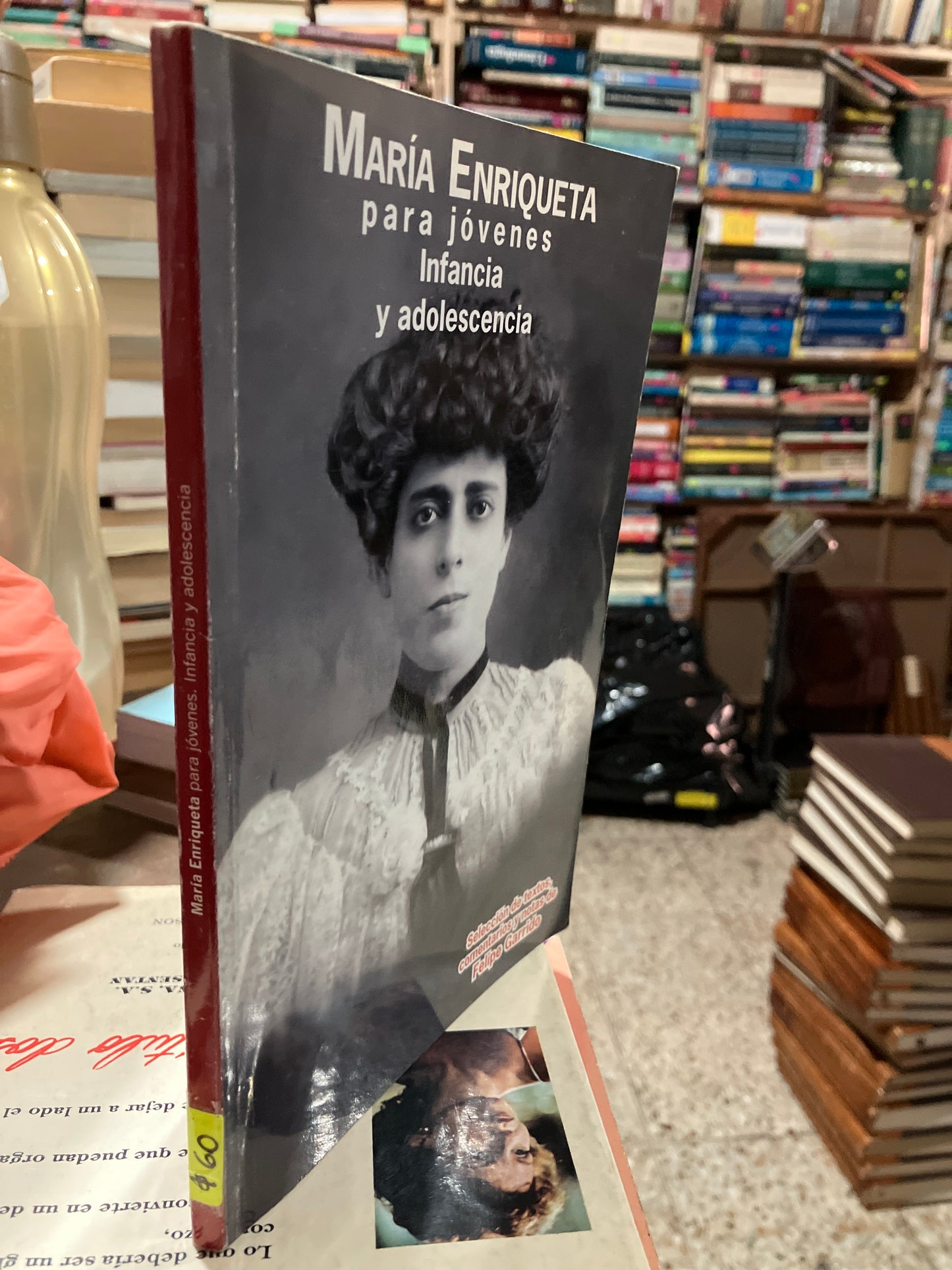 MARIA ENRIQUETA PARA JÓVENES INFANCIA Y ADOLESCENCIA POR FELIPE GARRIDO USADO NOVELAS ALDAMA