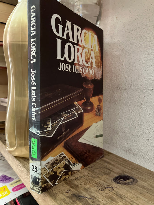 GARCÍA LORCA POR JOSE LUIS CANO USADO HISTORIA LITERARIO 305