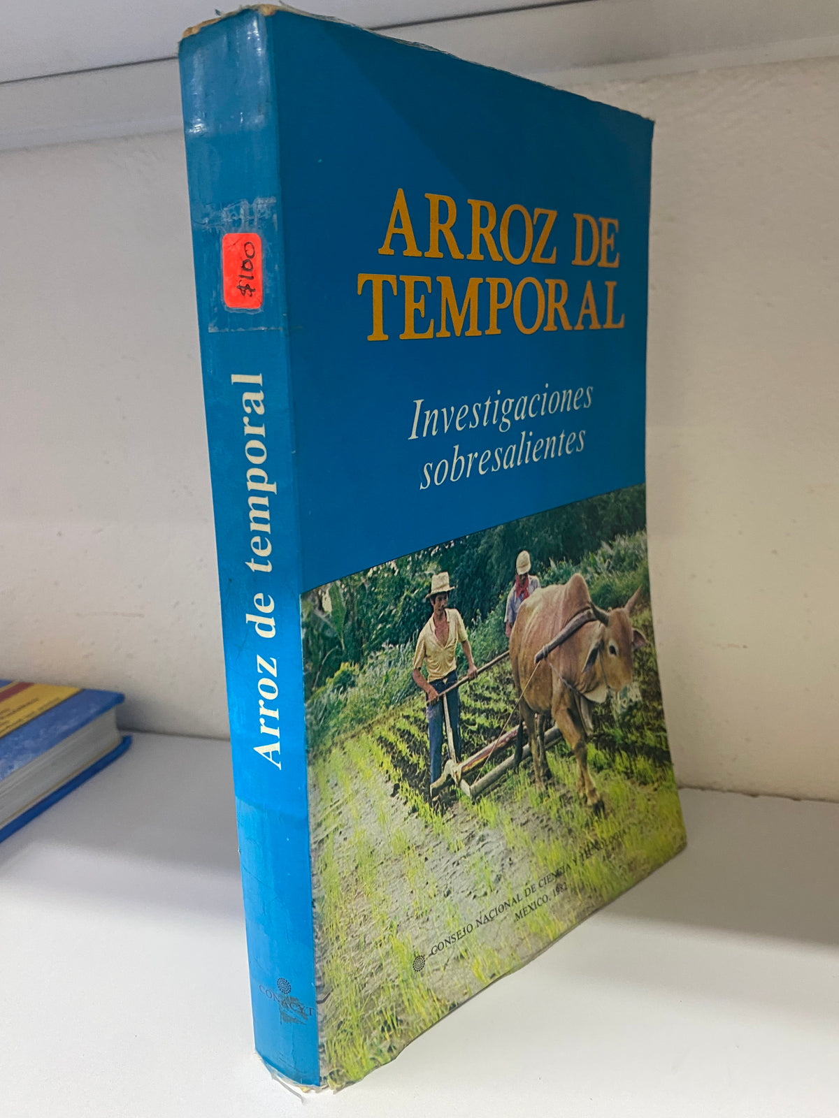 ARROZ DE TEMPORAL INVESTIGACIONES SOBRESALIENTES CONSEJO NACIONAL DE CIENCIA Y TECNOLOGIA MEXICO 1982 USADO AGRICULTURA JUAREZ 515