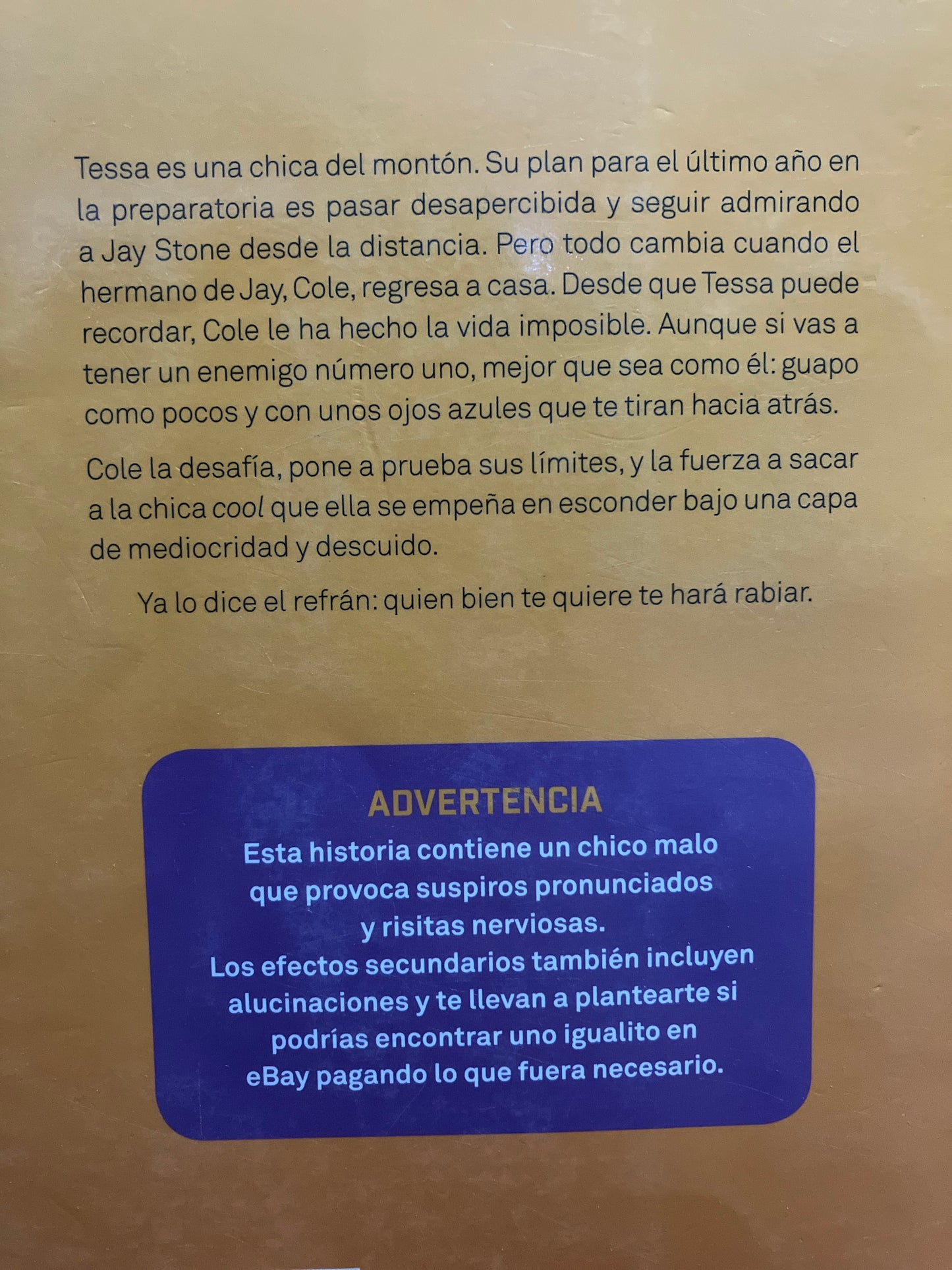 BAD BOYS GIRL TE ODIARÉ HASTA QUERERTE POR BLAIR HOLDEN USADO NOVELA ALDAMA