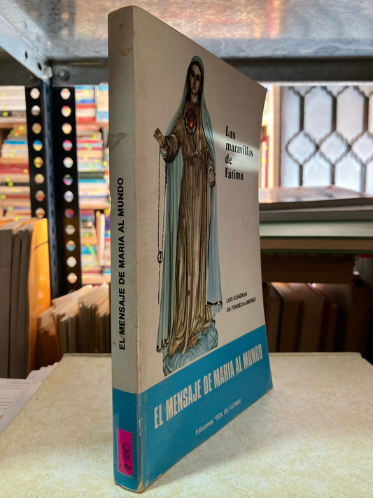 EL MENSAJE DE MARIA AL MUNDO POR LUIS GONZAGA USADO RELIGIÓN ALDAMA