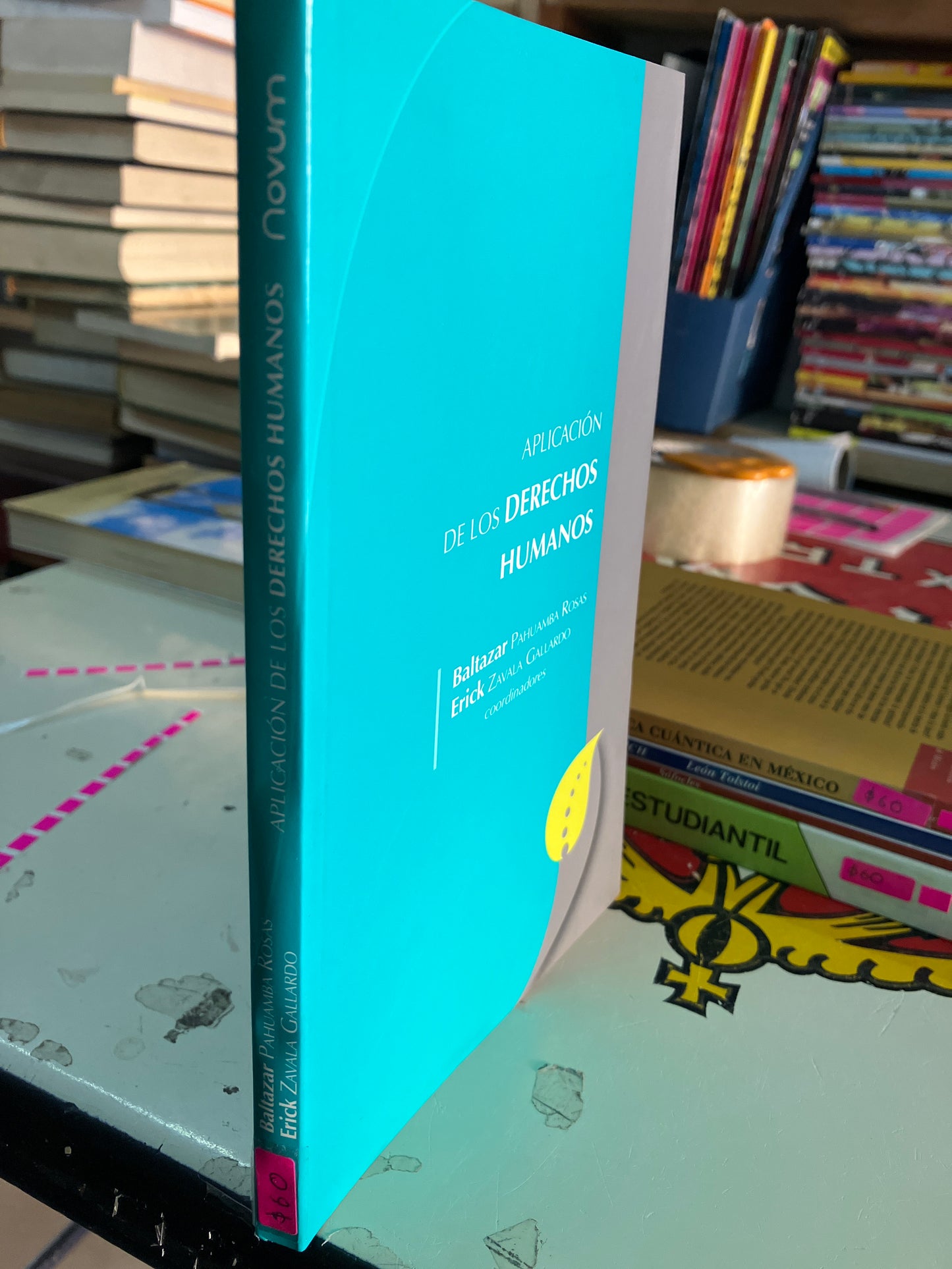 APLICACIÓN DE LOS DERECHOS HUMANOS POR AUTORES VARIOS USADO DERECHO LITERARIO 207