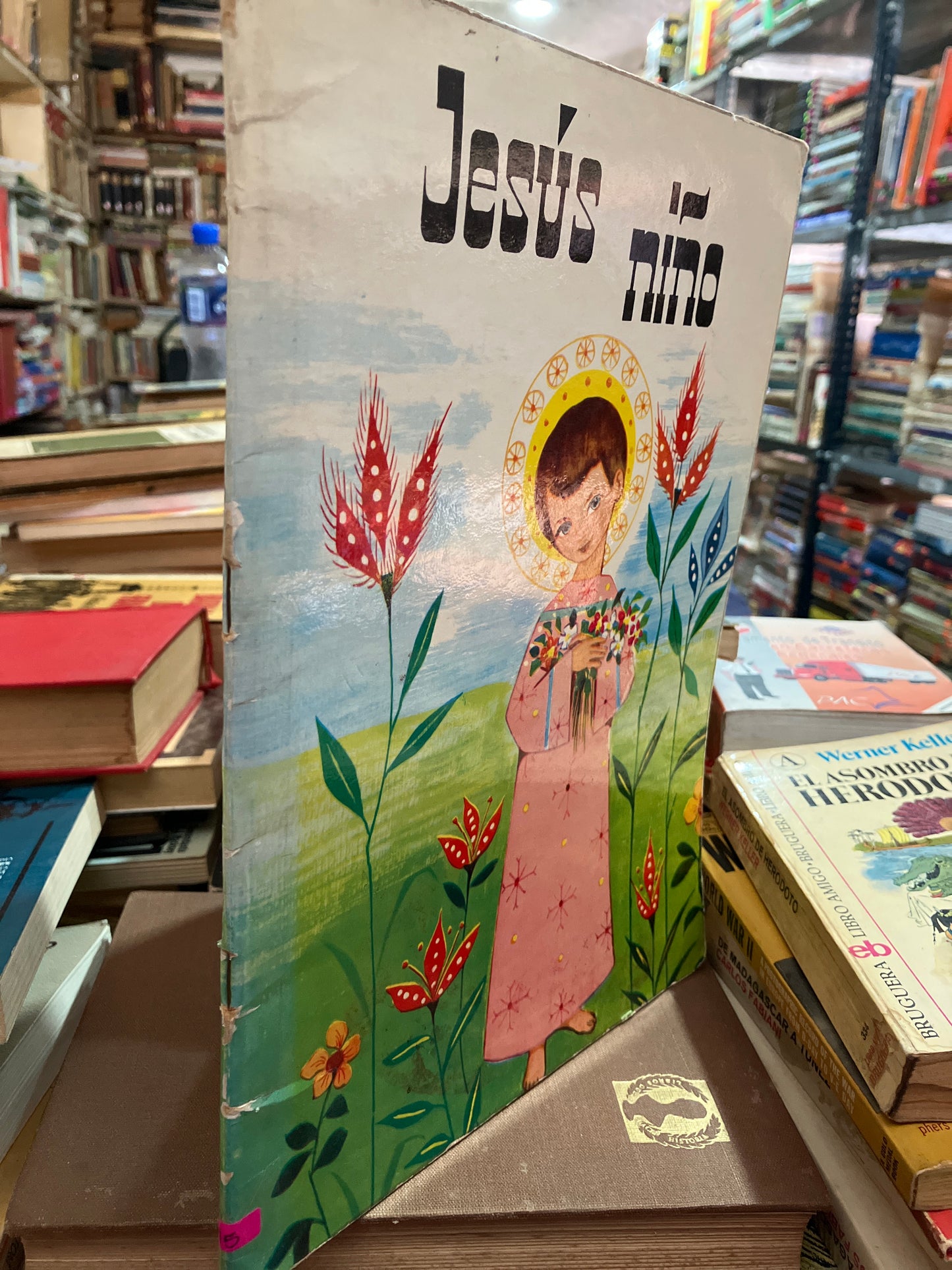 JESÚS NIÑO USADO RELIGIÓN ALDAMA