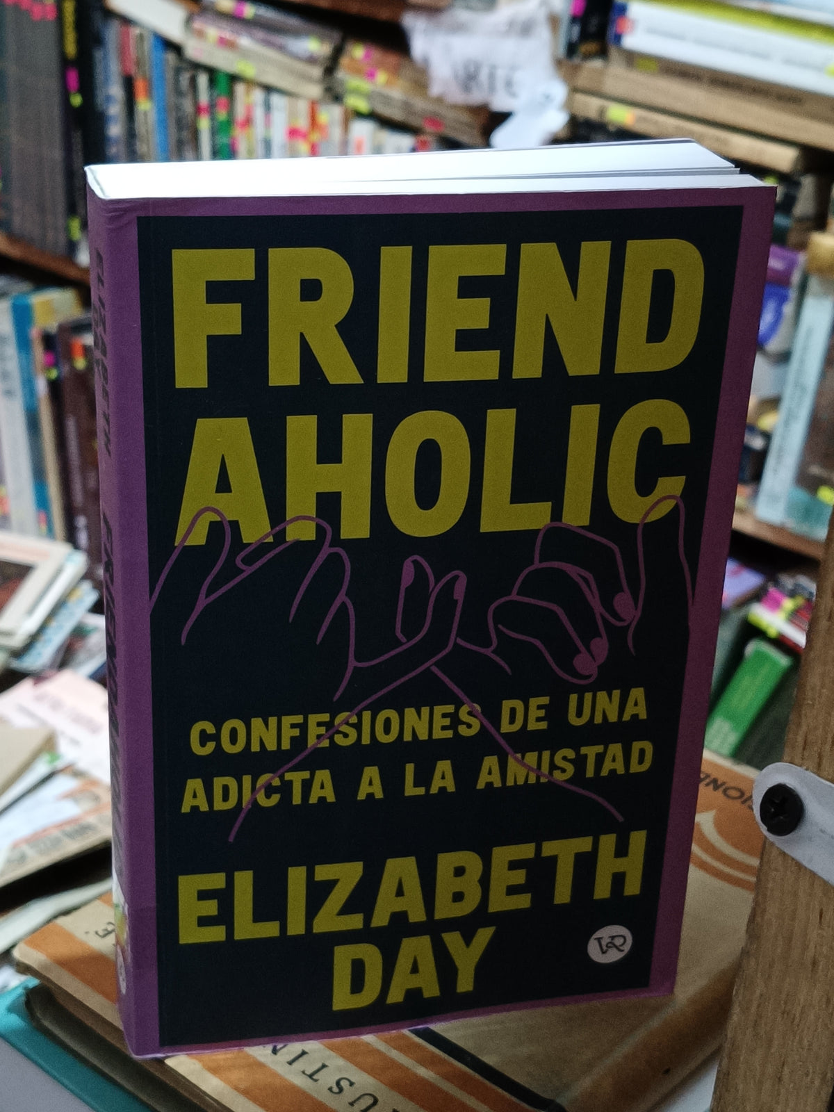 FRIEND AHOLIC ELIZABETH DAY USADO NOVELA LITERARIO 305