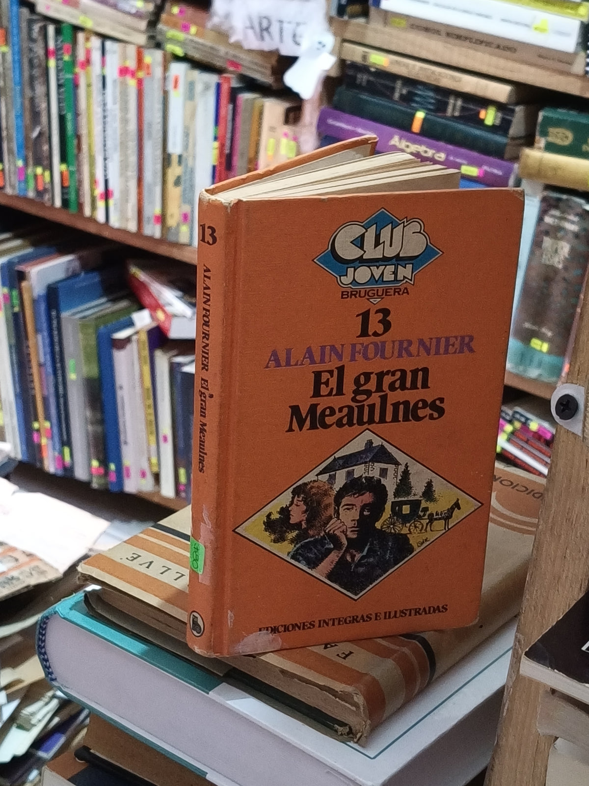 EL GRAN MEAULNES ALAIN FOURNIER USADO NOVELA LITERARIO 305