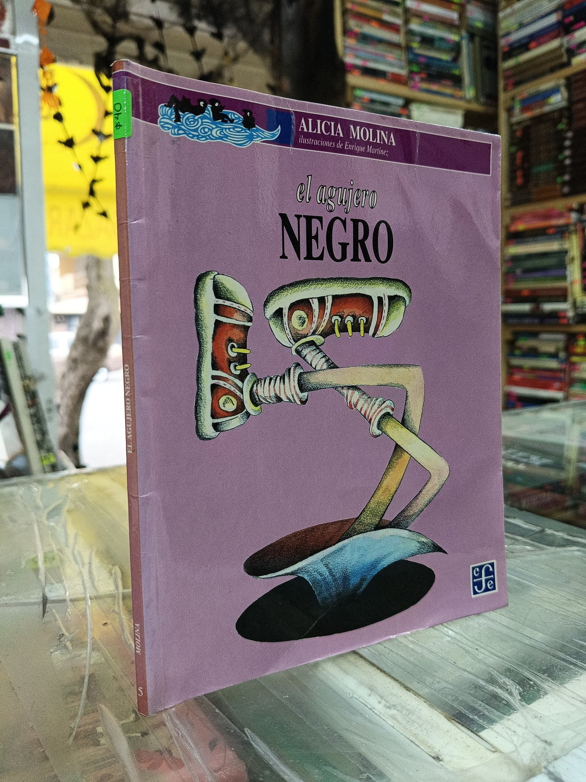 EL AGUJERO NEGRO POR LUCIA MOLINA USADO INFANTIL JUAREZ 507