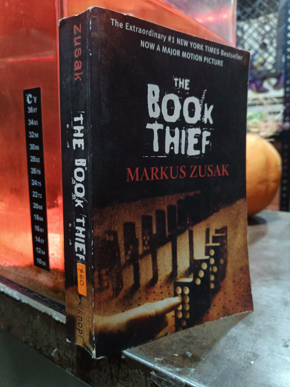 THE BOOK THIEF POR MARKUS ZUSAK USADO IDIOMAS ALDAMA