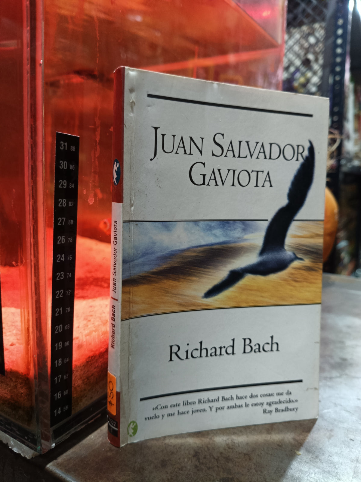 JUAN SALVADOR GAVIOTA POR RICHARD BACH USADO SUPERACION PERSONAL ALDAMA