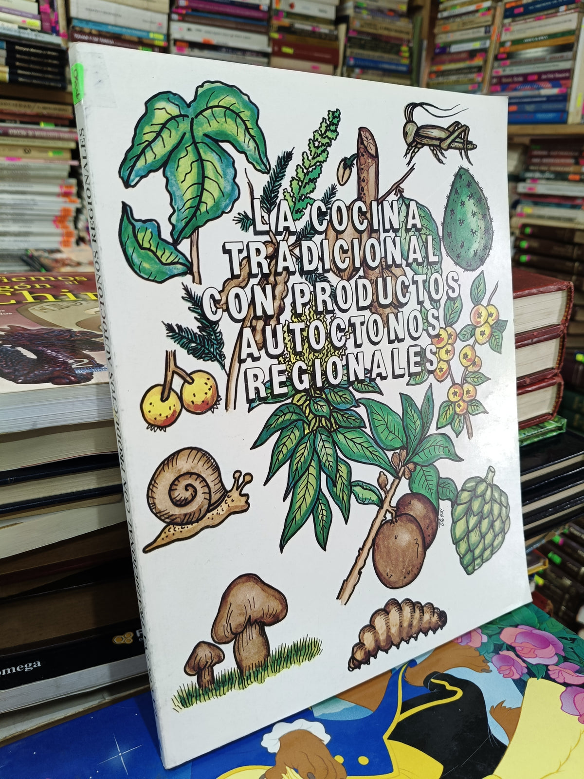 LA COCINA TRADICIONAL CON PRIDUCTOS AUTOCTONOS REGIONALES USADO COCINA JUAREZ 507