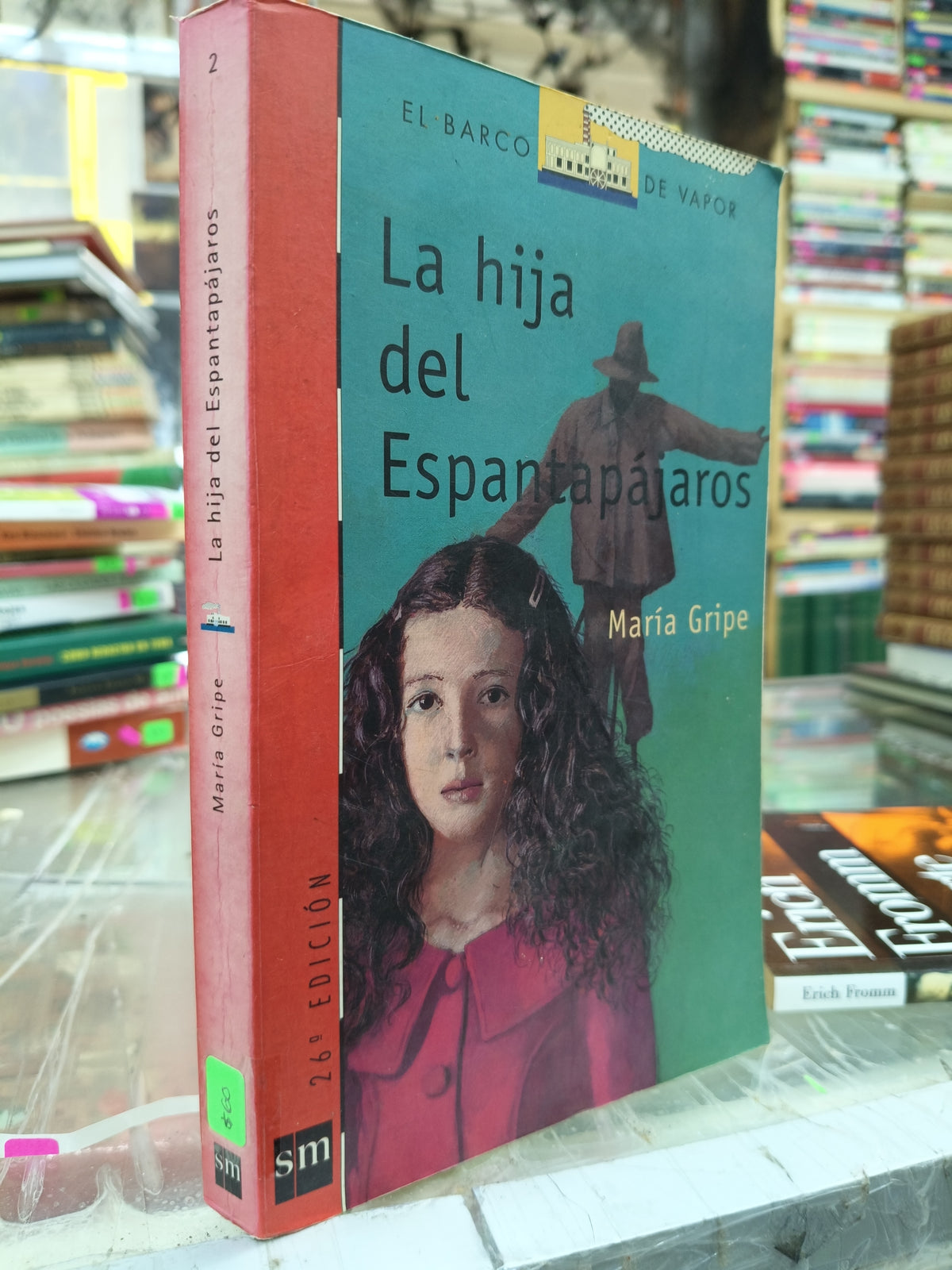 LA HIJA DEL ESPANTAPAJAROS POR MARIA GRIPE USADO INFANTIL JUAREZ 507
