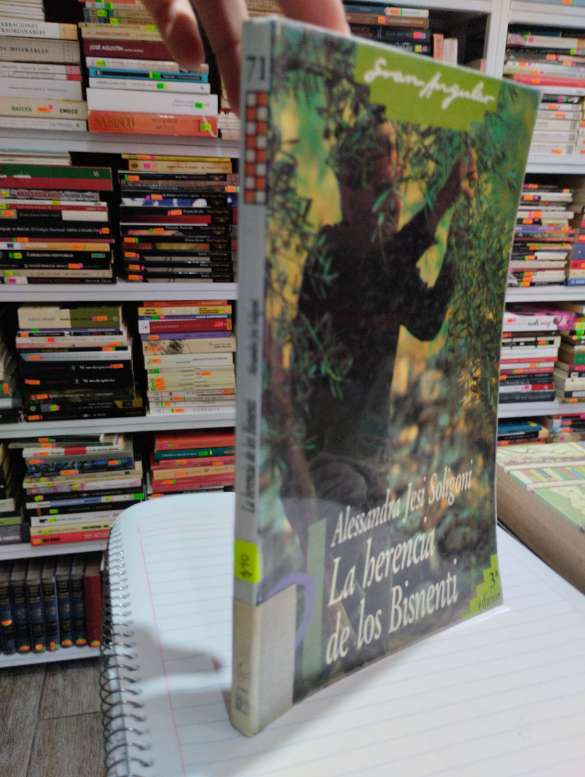 LA HERENCIA DE LOS BISNENTI POR ALESSANDRA JESI SOLIGONI USADO NOVELAS JUAREZ 515