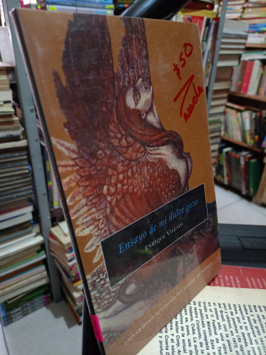 ENSAÑO DE MI DULCE GOZO POR ENRIQUE VILLADA USADO NOVELA LITERARIO 305