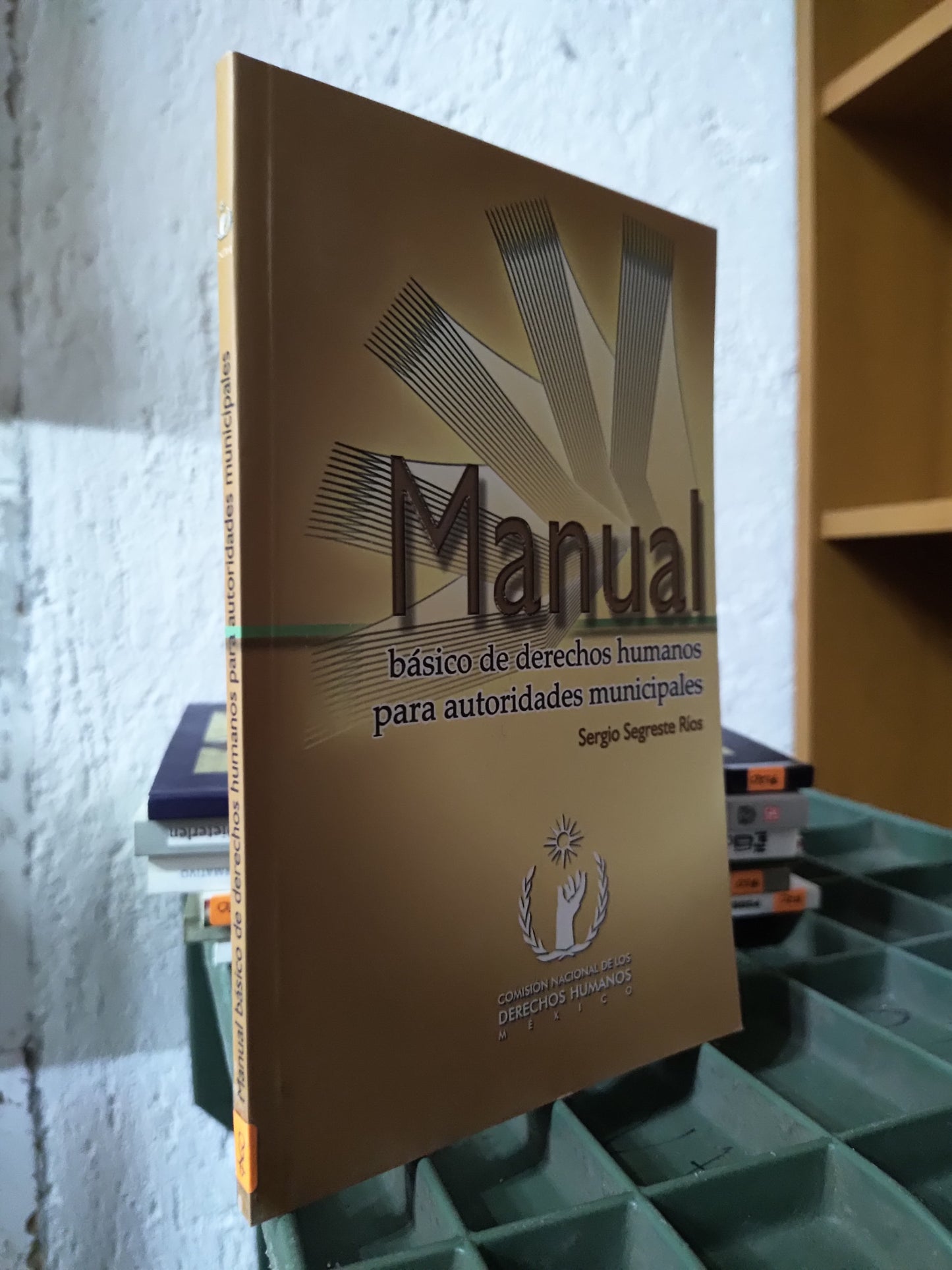 MANUAL DE DERECHOS HUMANOS PARA AUTORIDADES MUNICIPALES POR SERGIO SEGRESTE RIOS USADO DERECHO JUAREZ 515