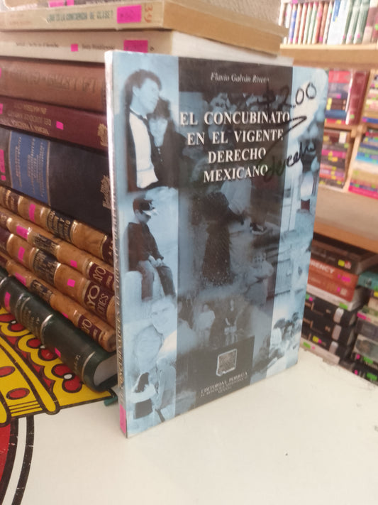 EL CONCUBINATO EN EL VIGENTE DERECHO MEXICANO POR FLAVIO GALVÁN RIVERA USADO DERECHO JUAREZ 515